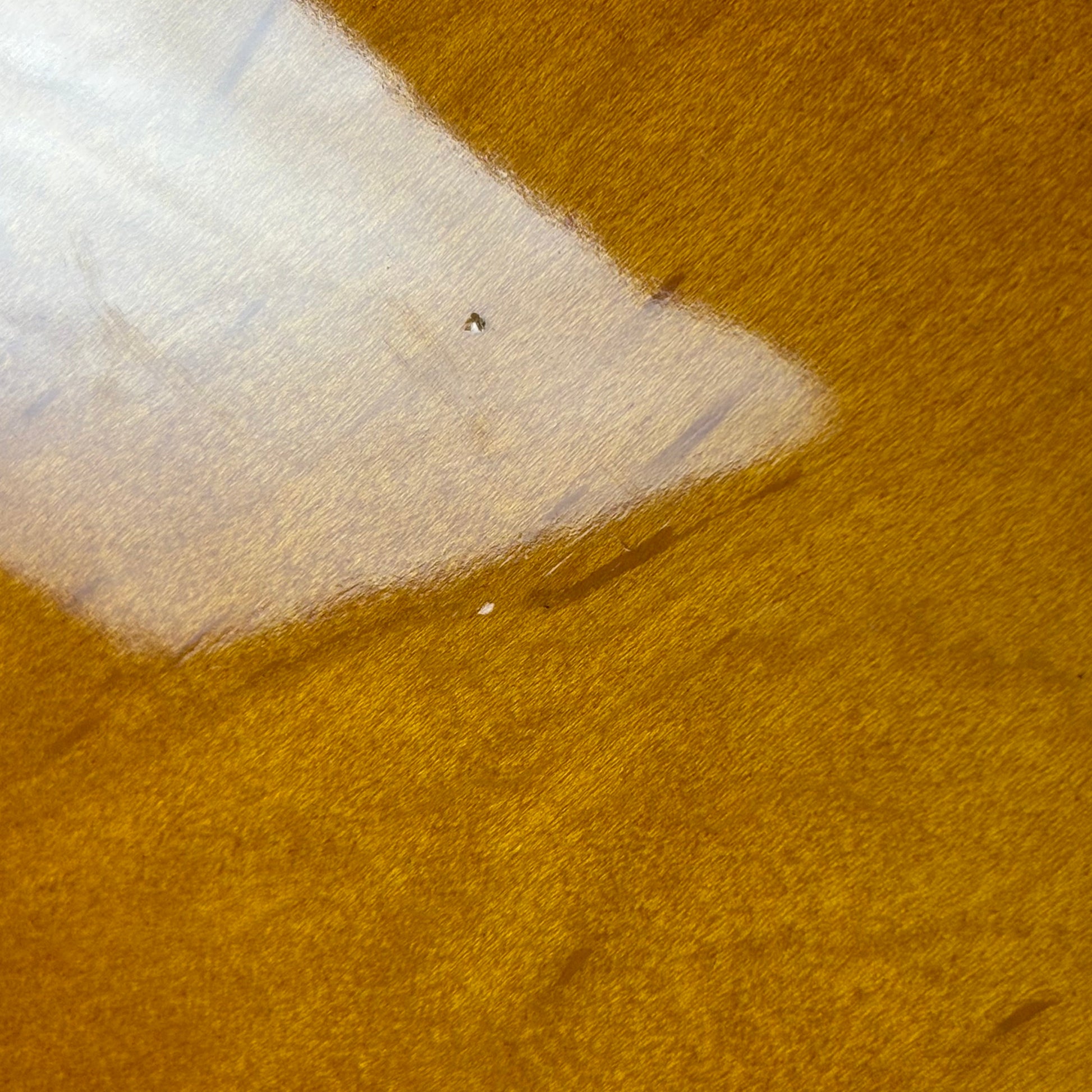 Epiphone Korea Riviera