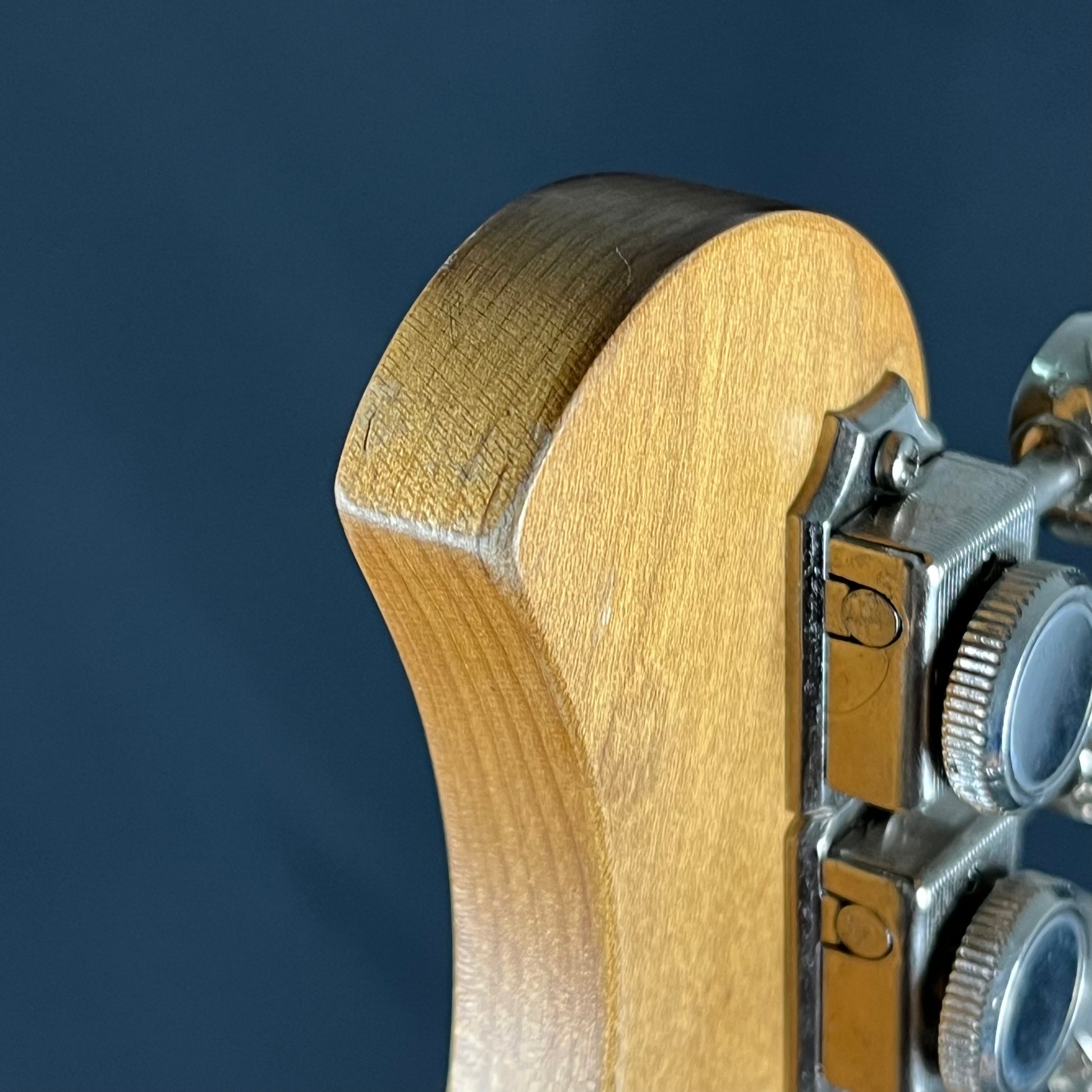 Bacchus TAC24 STD-RSM/M