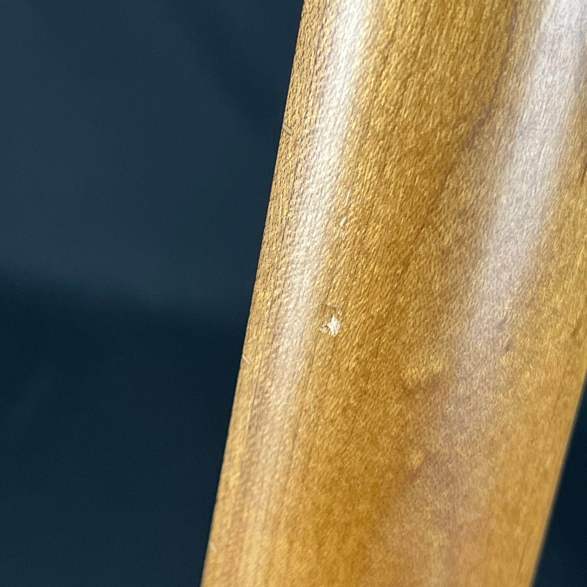 Bacchus TAC24 STD-RSM/M