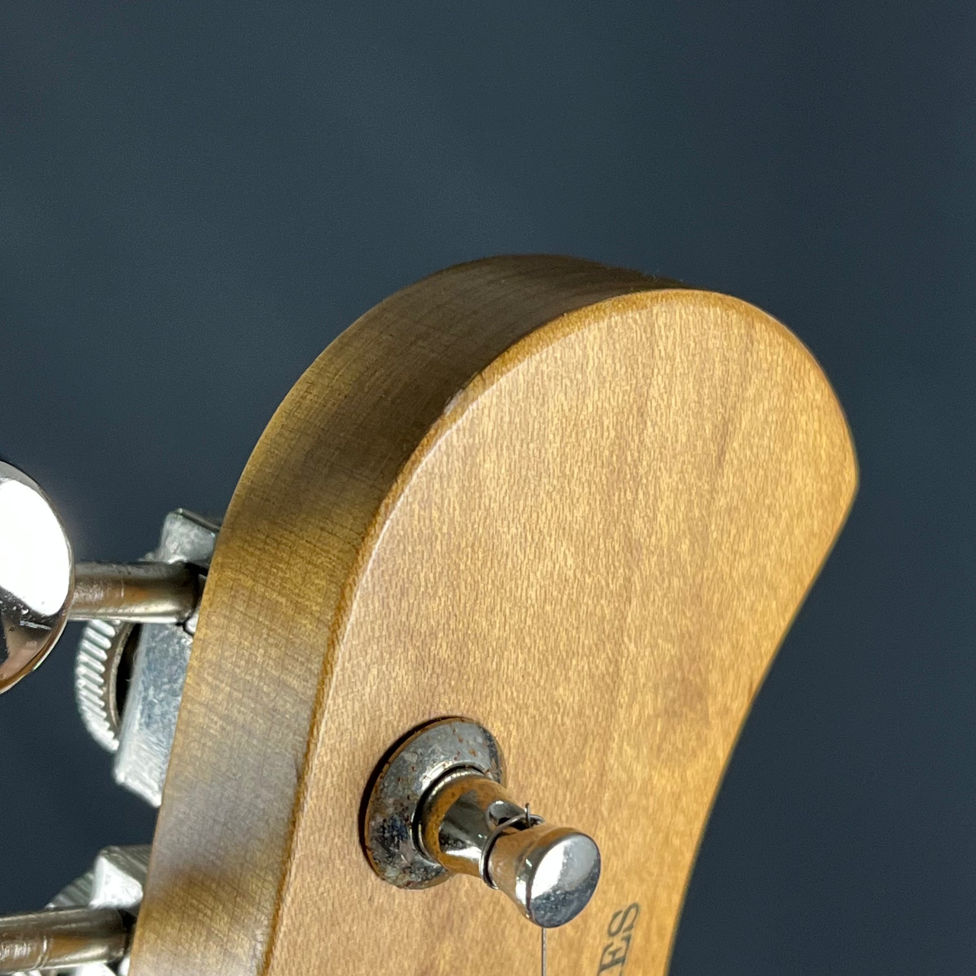 Bacchus TAC24 STD-RSM/M