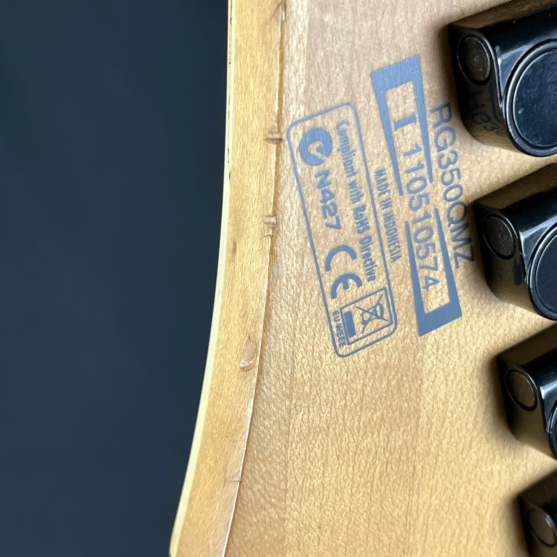 Ibanez RG350QMZ