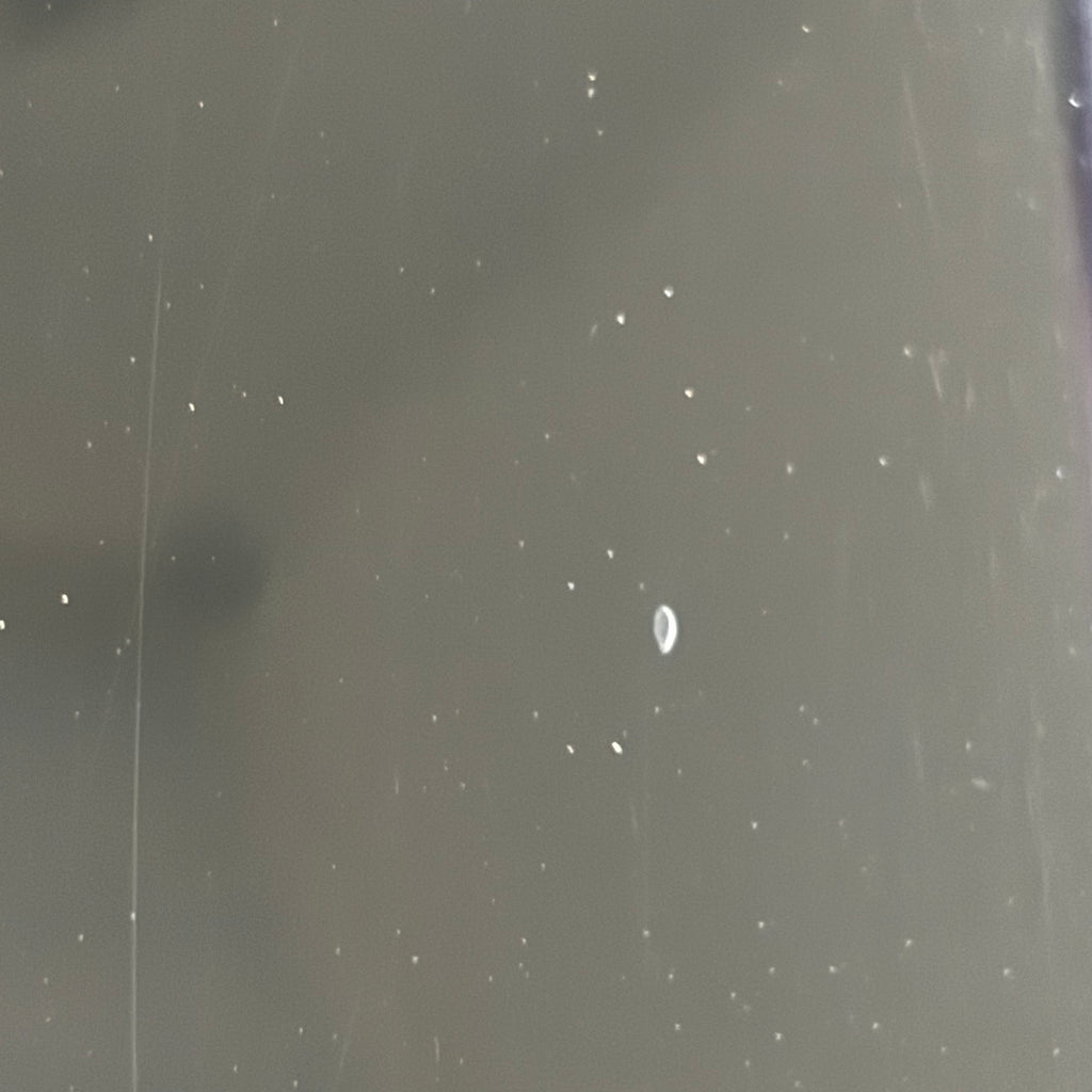 GrassRoots Telecaster HH