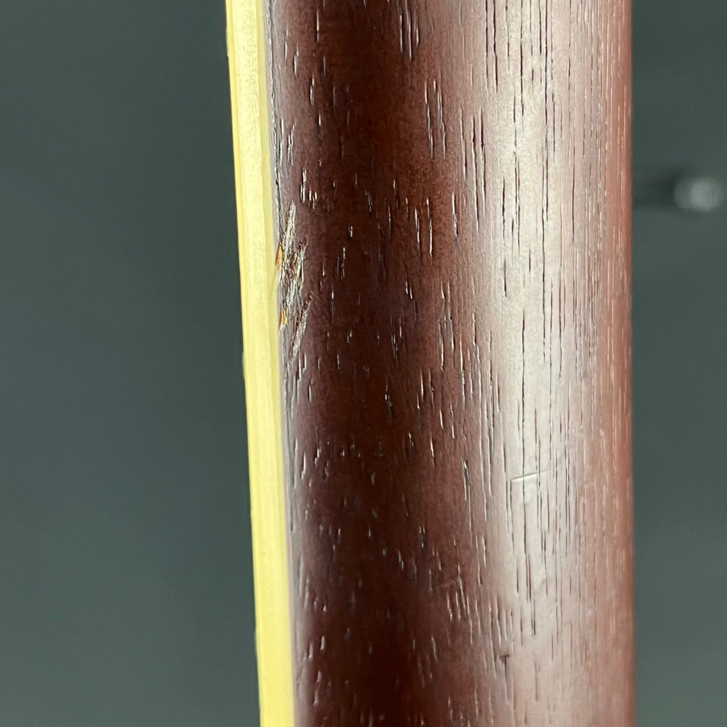 Epiphone Les Paul Traditional Pro