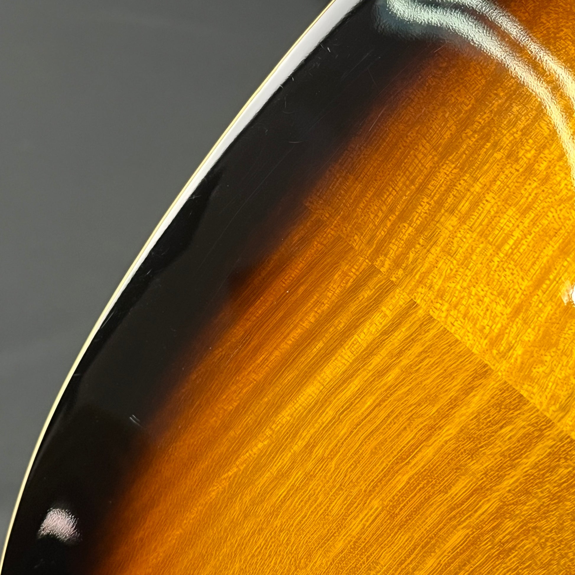 Epiphone Les Paul Traditional Pro