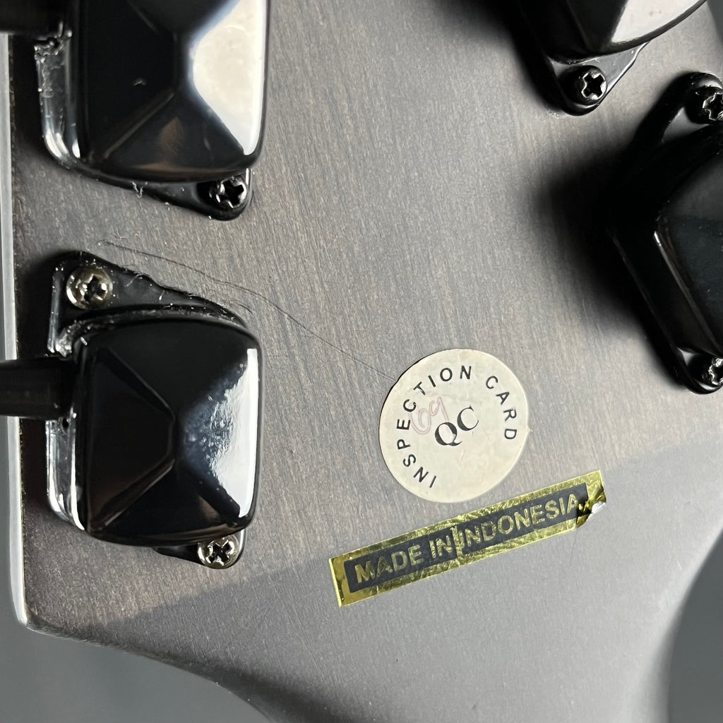 Epiphone Explorer GT
