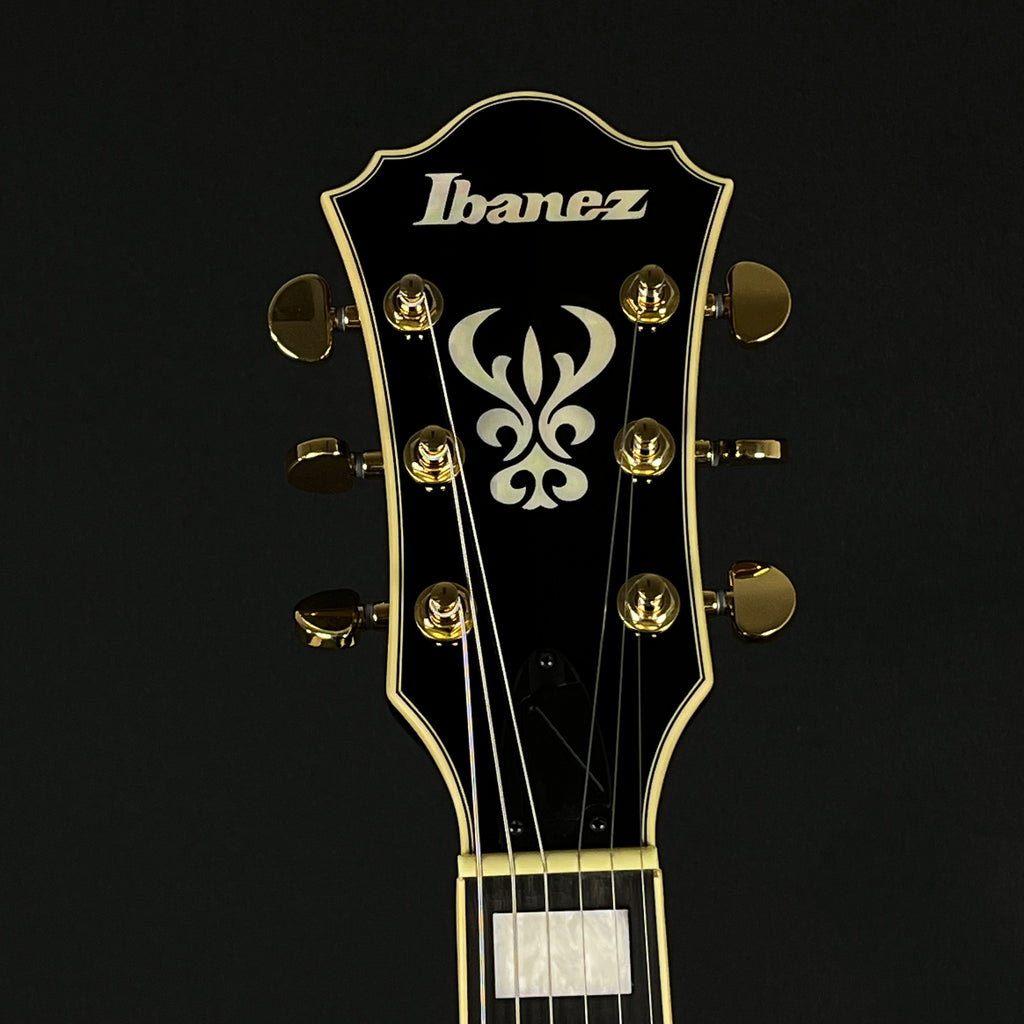 Ibanez AG95QA