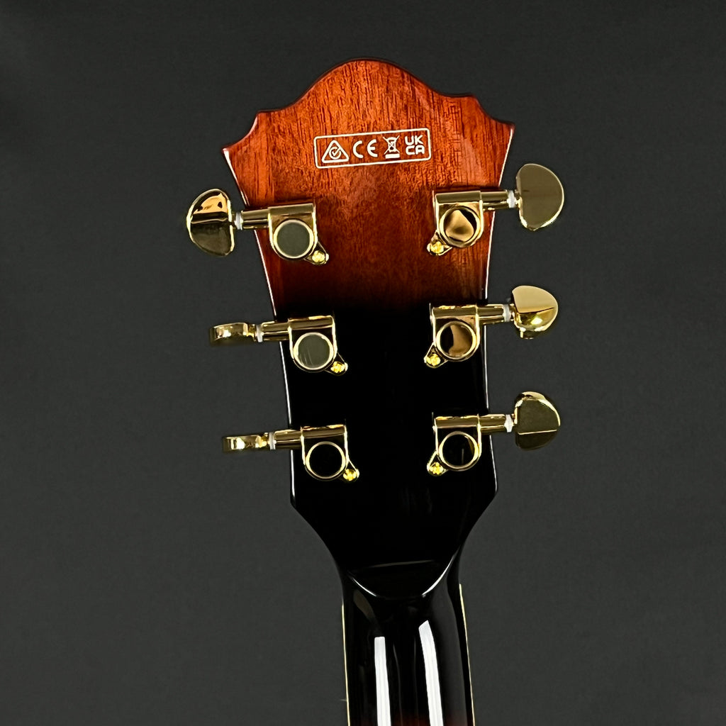 Ibanez AG95QA