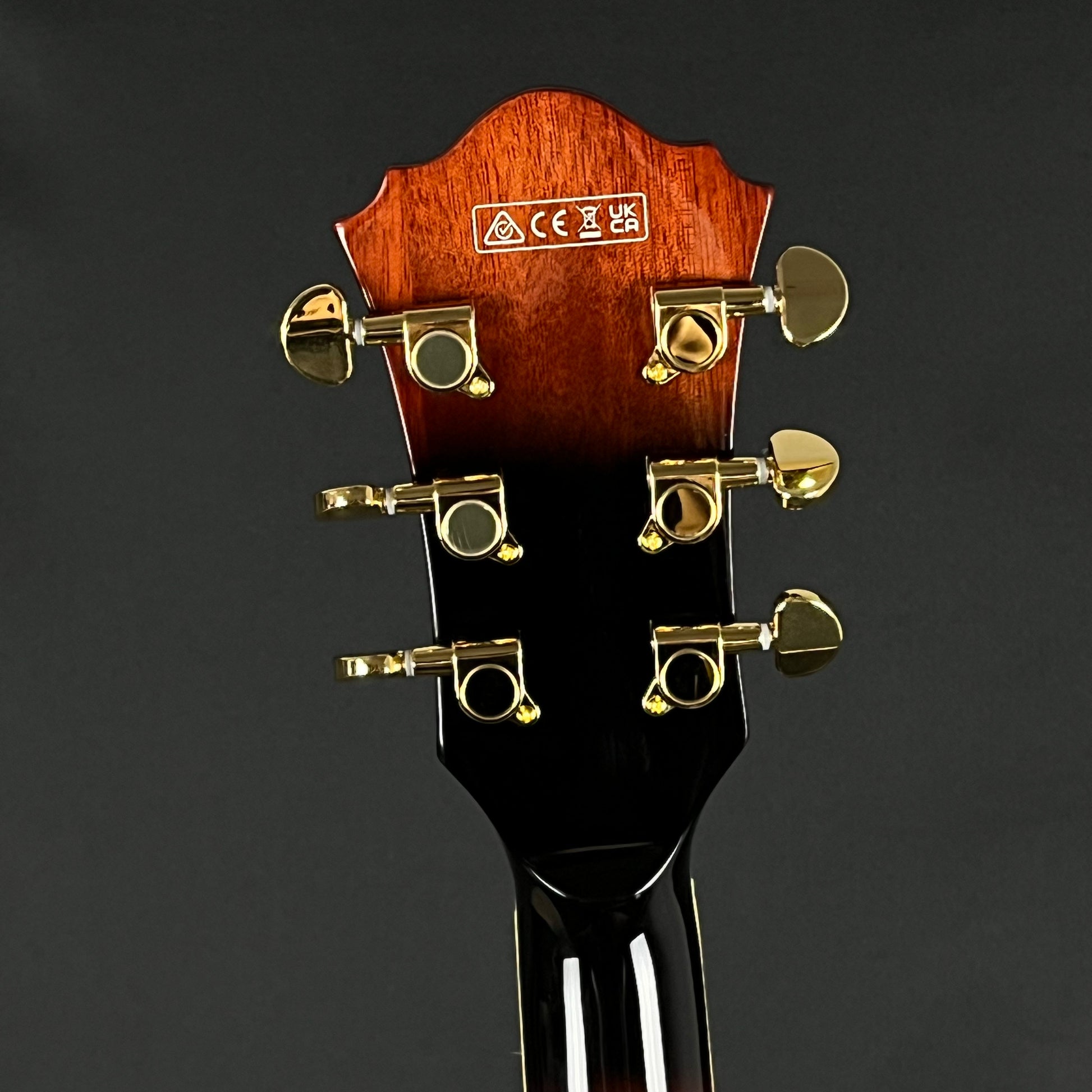 Ibanez AG95QA