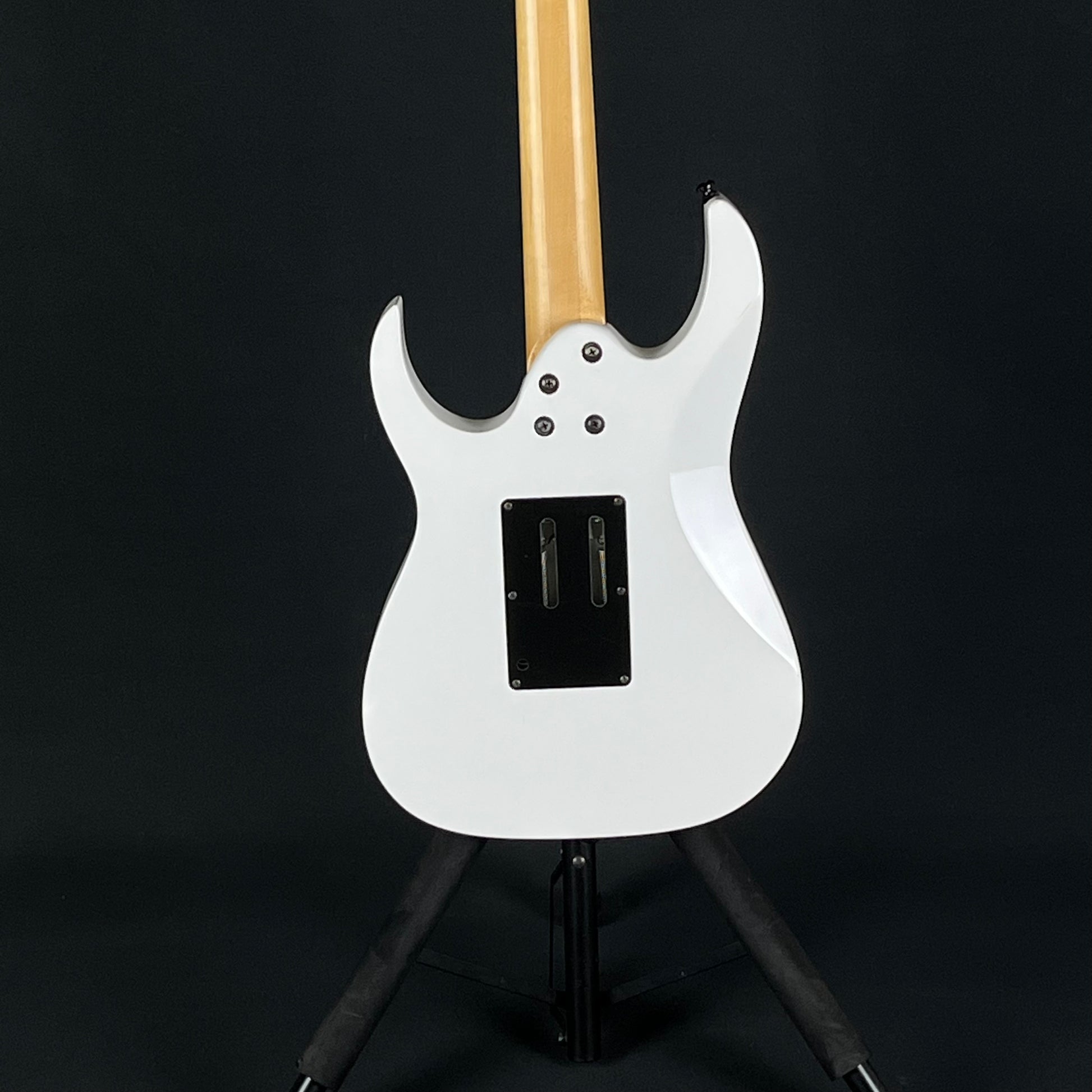 Ibanez RG350DX 2010
