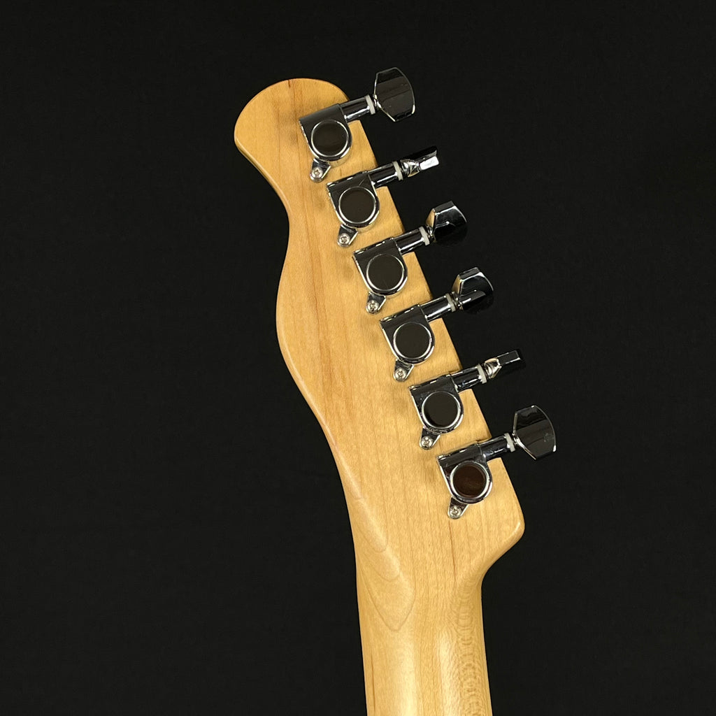 Bacchus Universe Series Telecaster