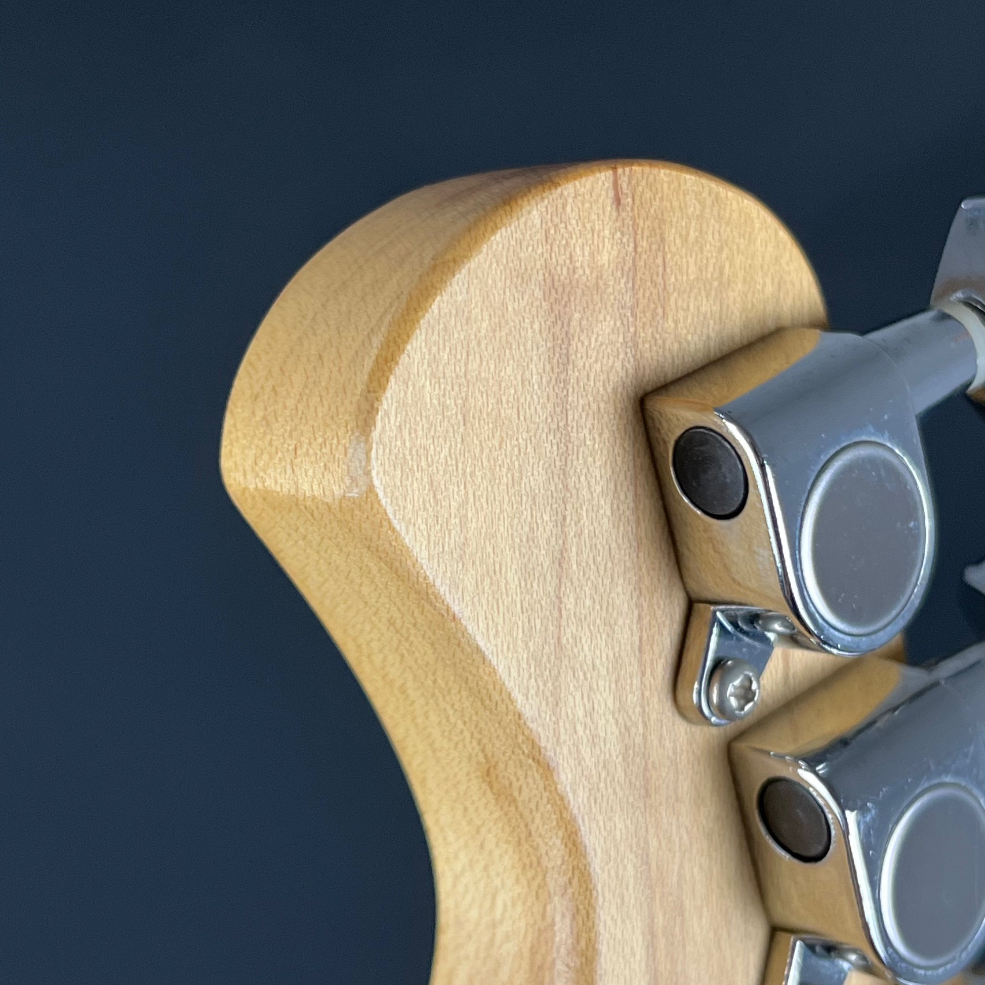 Bacchus Universe Series Telecaster