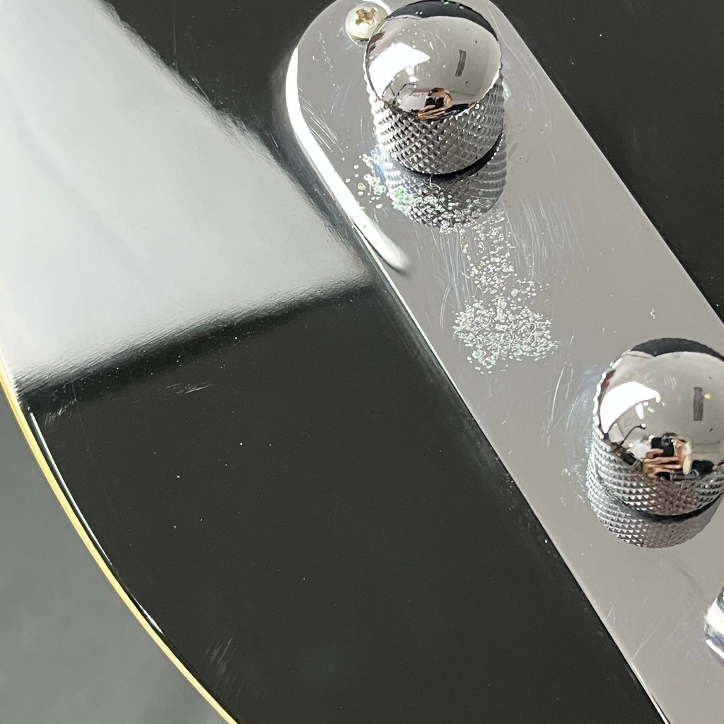 Bacchus Universe Series Telecaster
