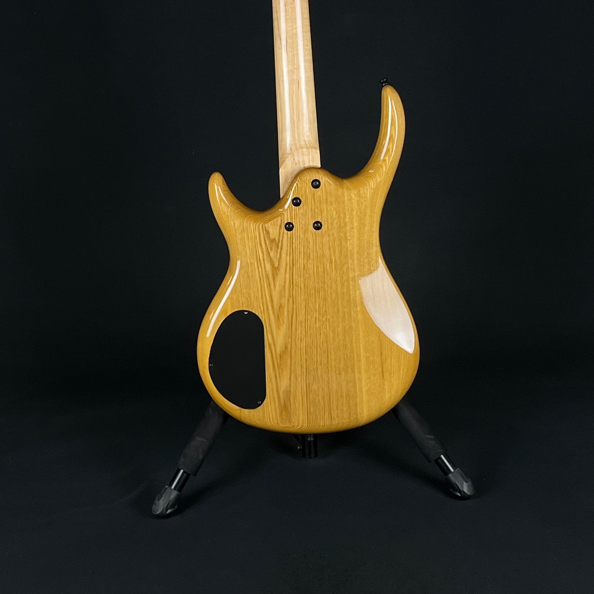 Epiphone Embassy Standard-IV