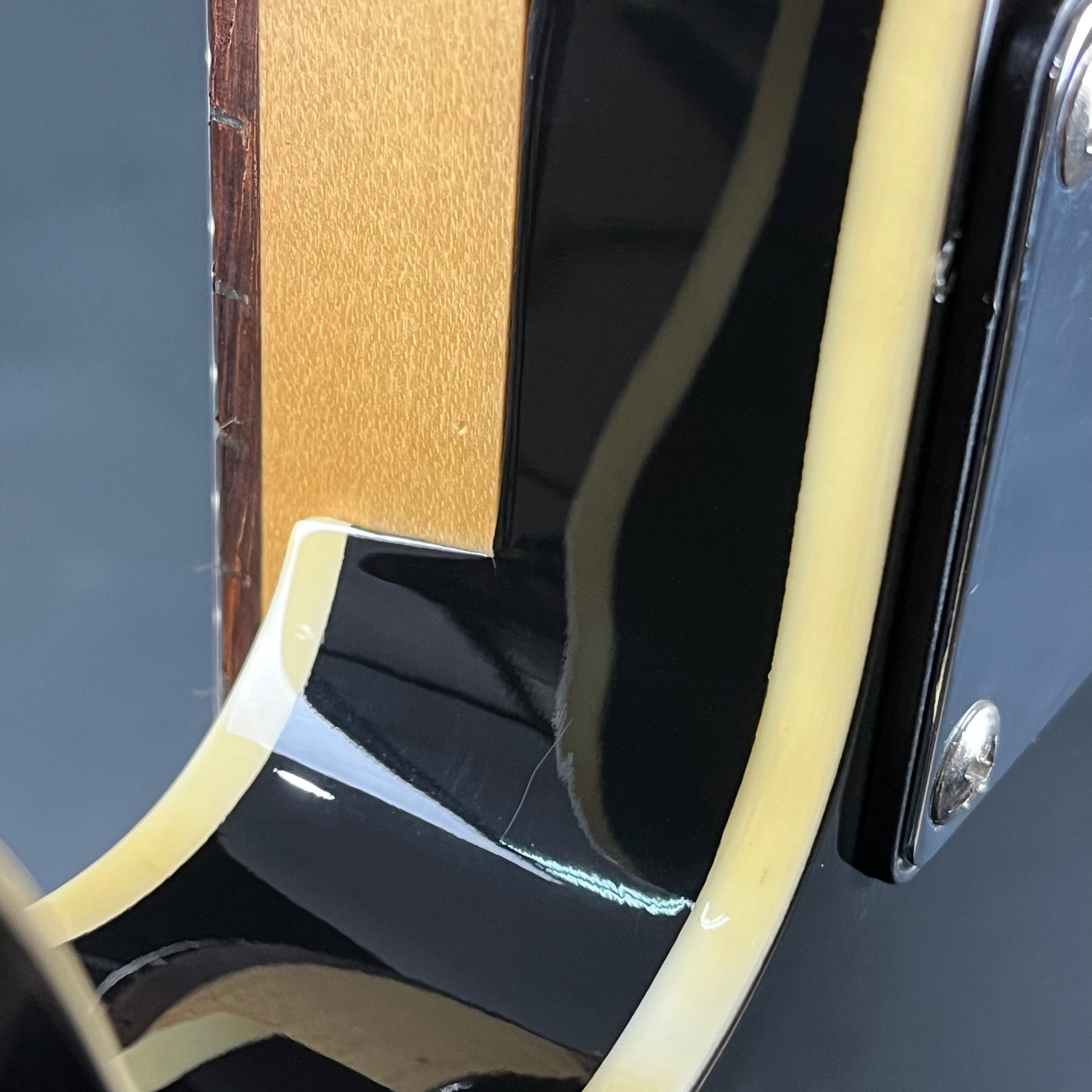 Bacchus Universe Series Telecaster