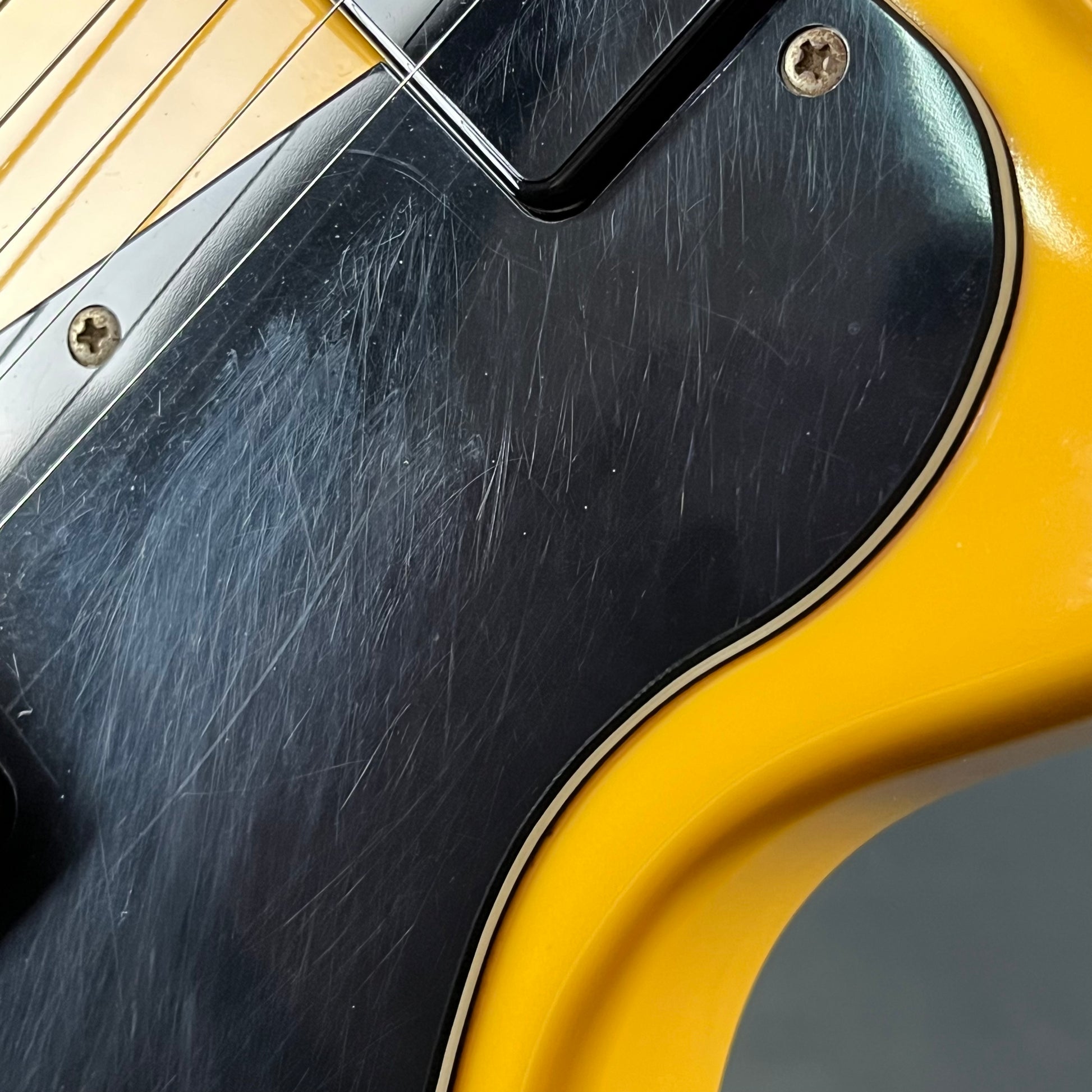 Tokai Love Rock Special TV Yellow