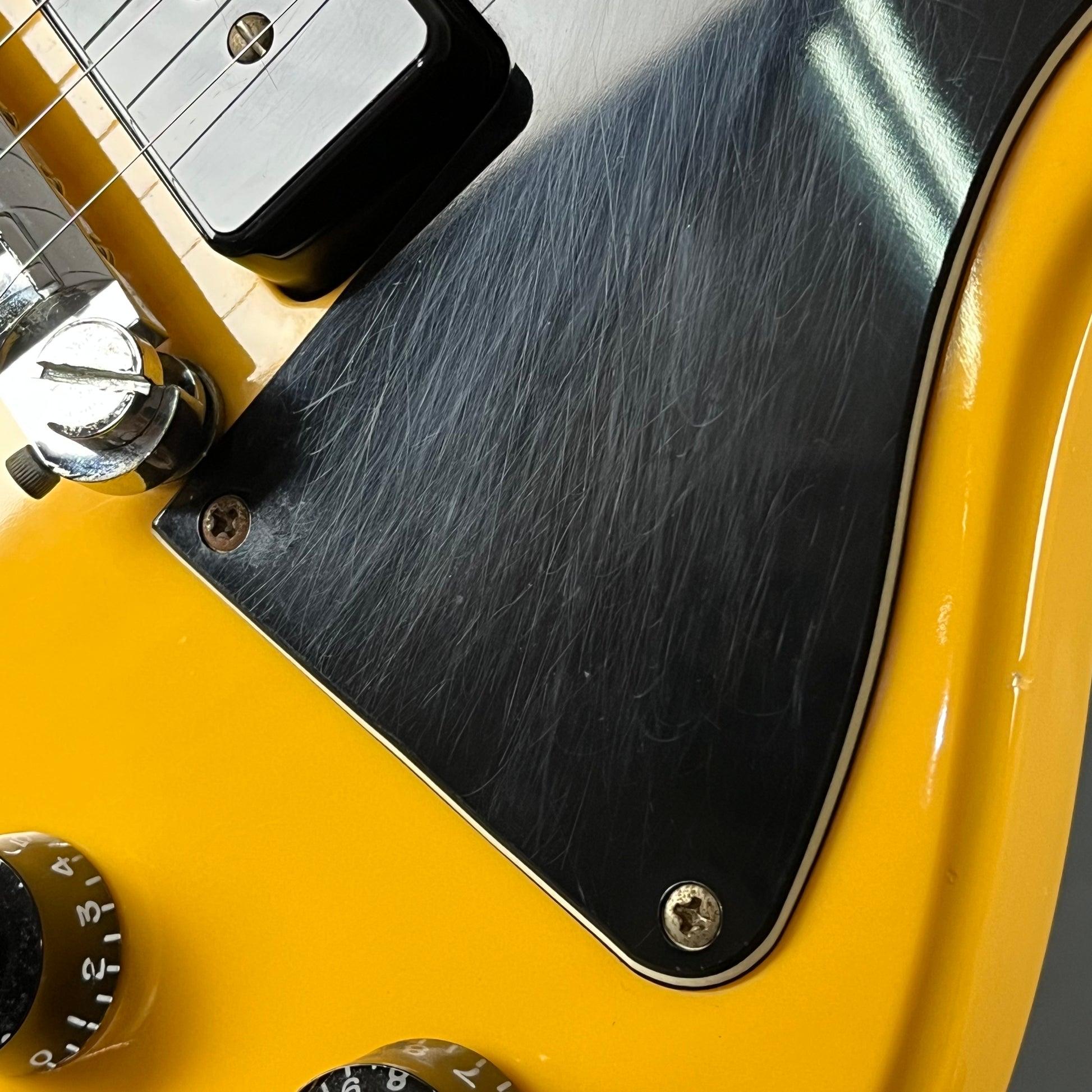 Tokai Love Rock Special TV Yellow