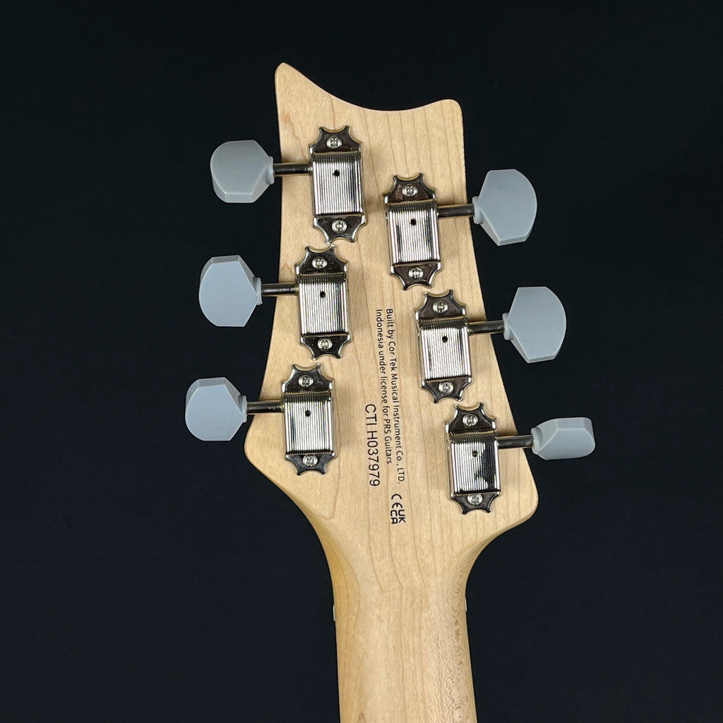 PRS SE SILVER SKY 2025