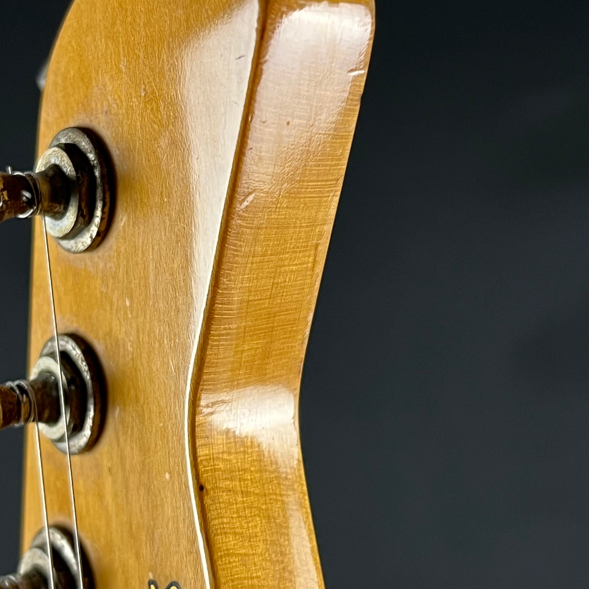 Fernandes FR-50