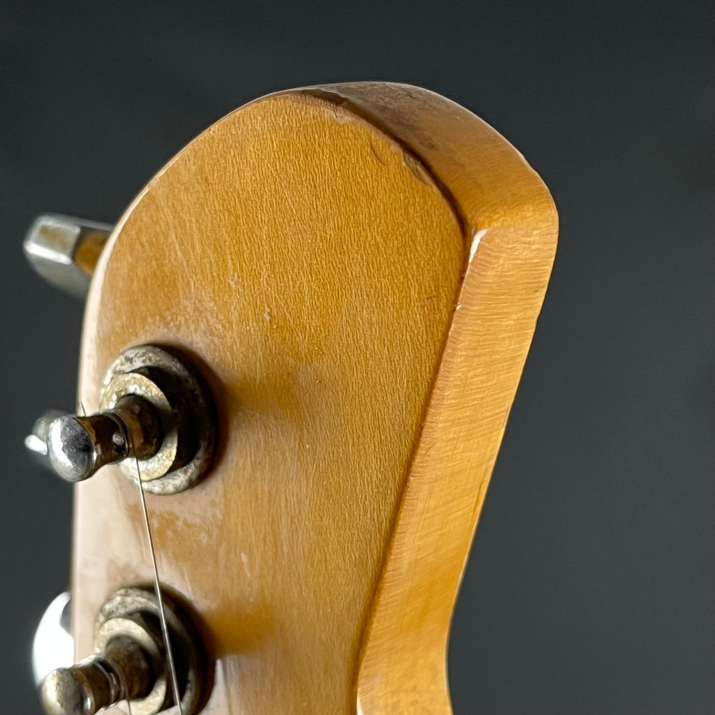 Fernandes FR-50