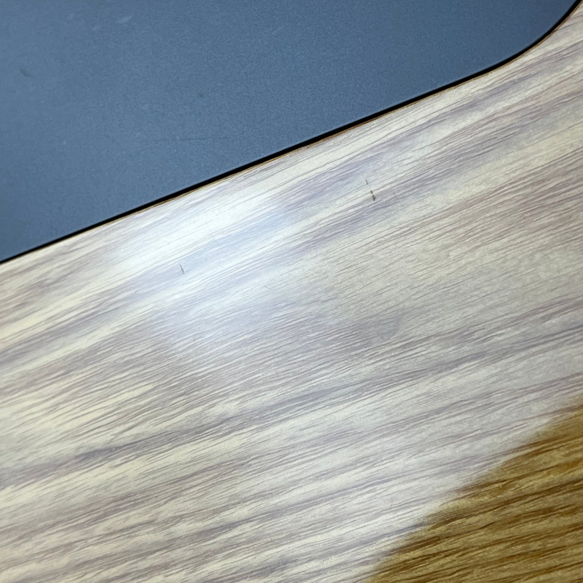 Epiphone Embassy Standard-IV