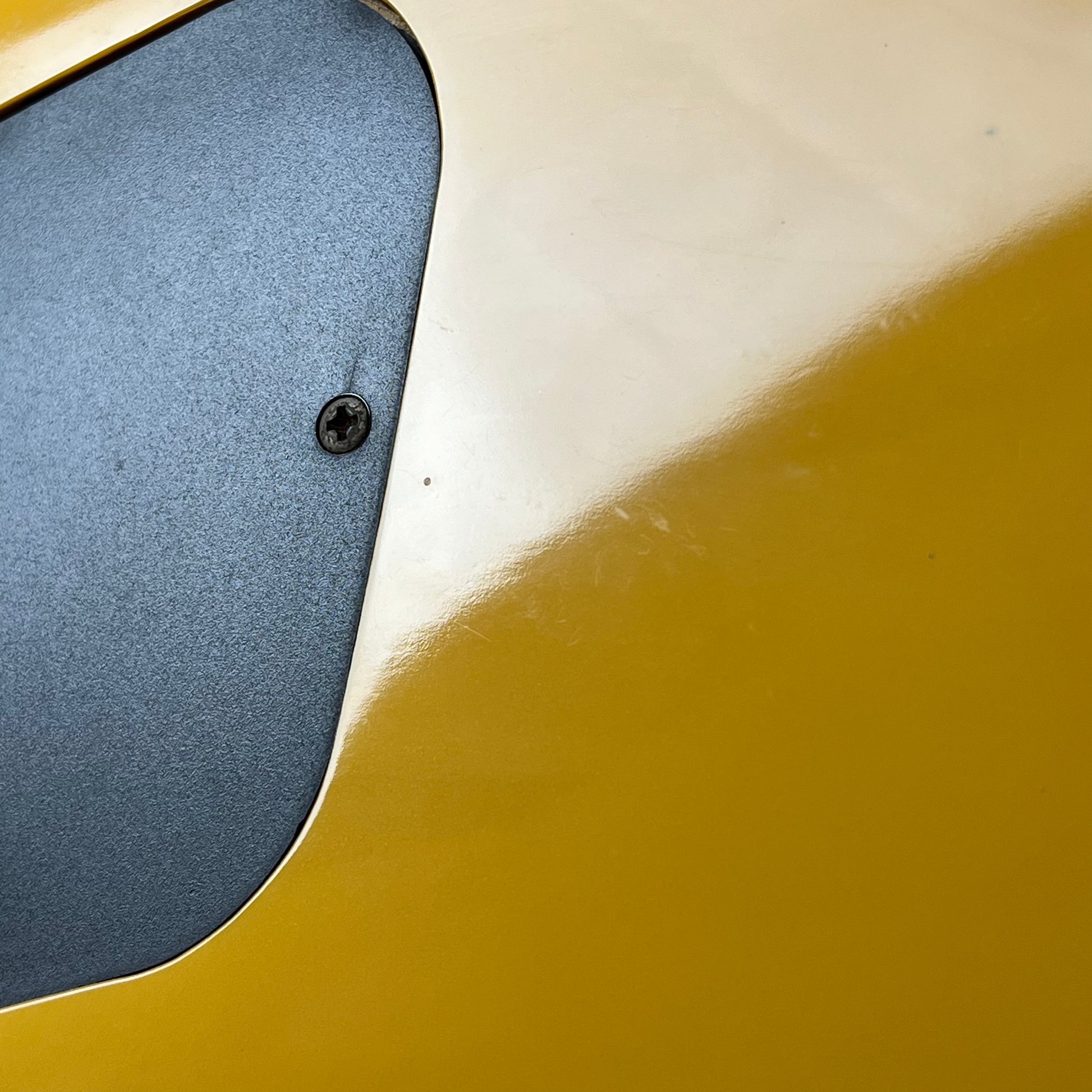 Tokai Love Rock Special TV Yellow