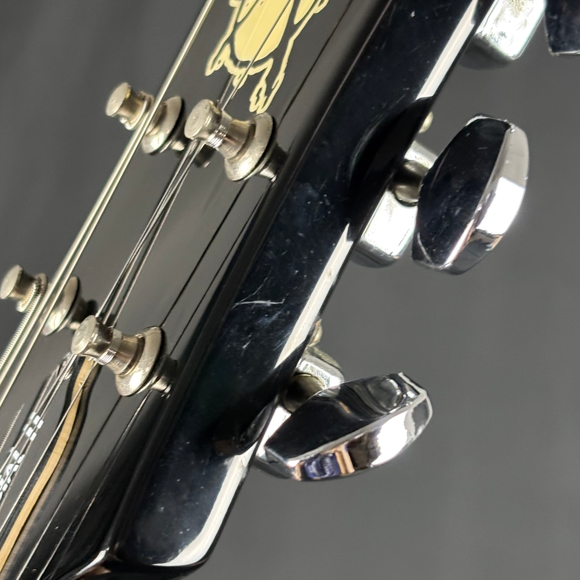 Epiphone LTD Les Paul Special II Dr. Skull