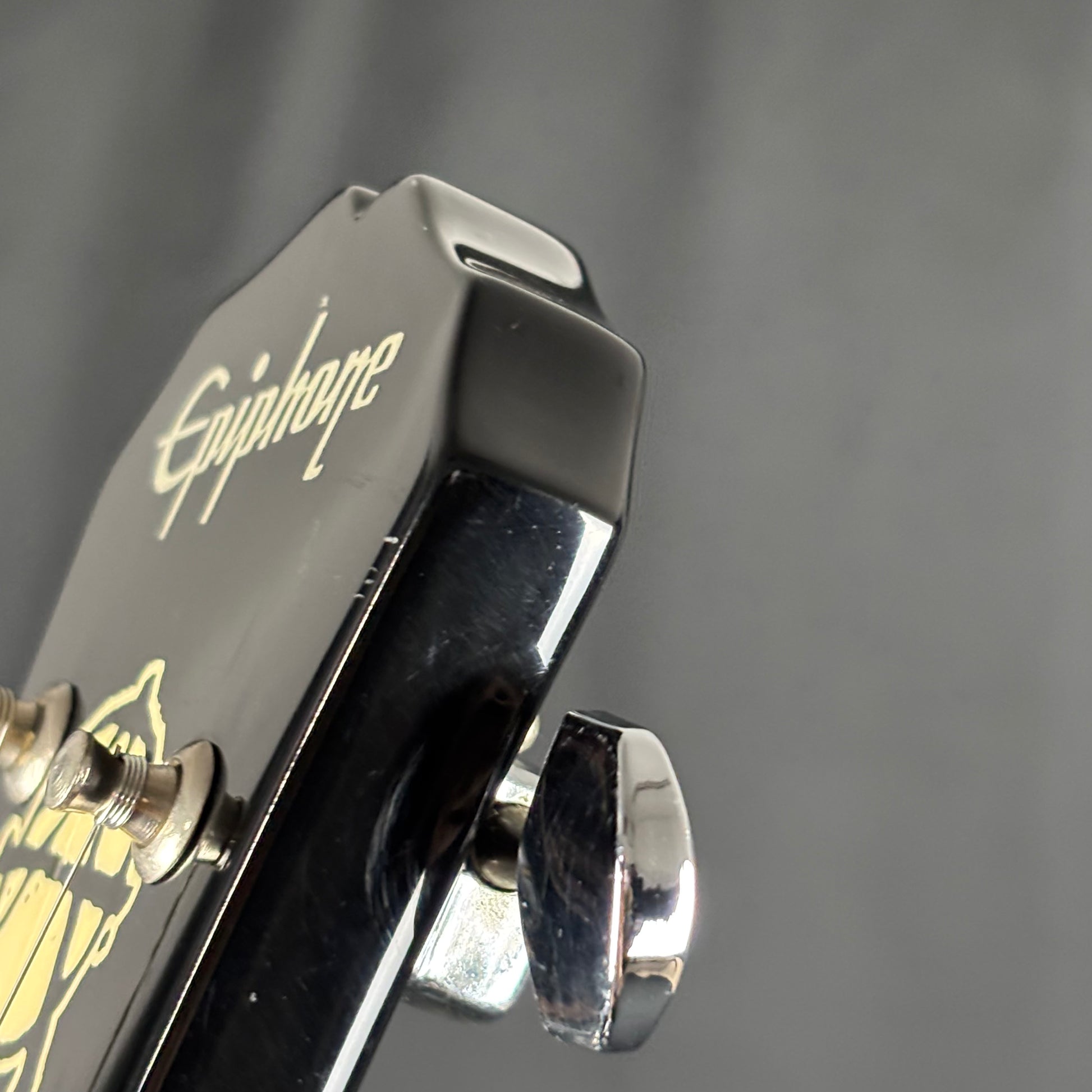 Epiphone LTD Les Paul Special II Dr. Skull