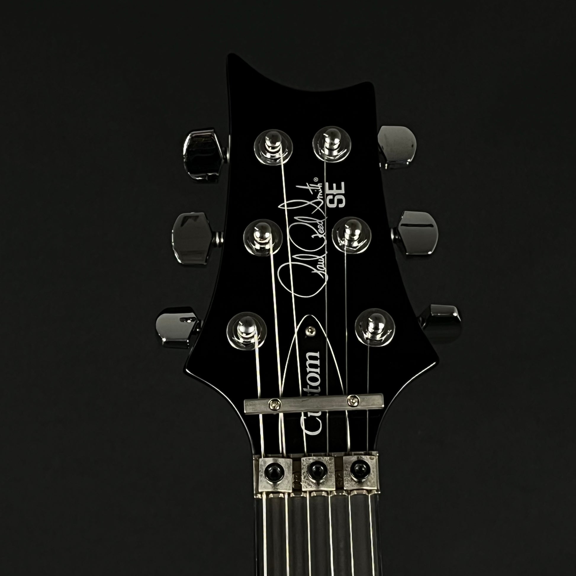 PRS SE Custom 24 Floydrose 2022