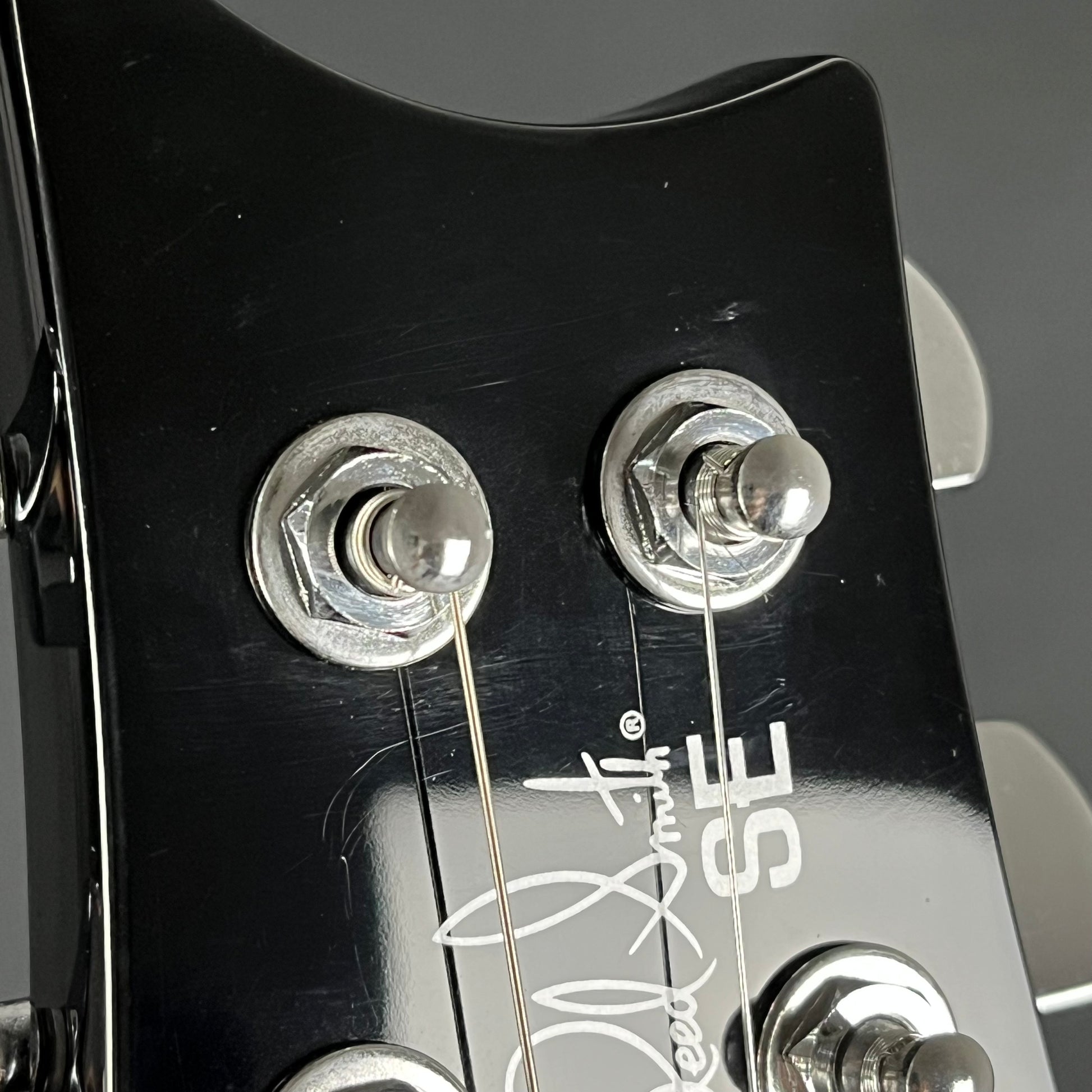PRS SE Custom 24 Floydrose 2022