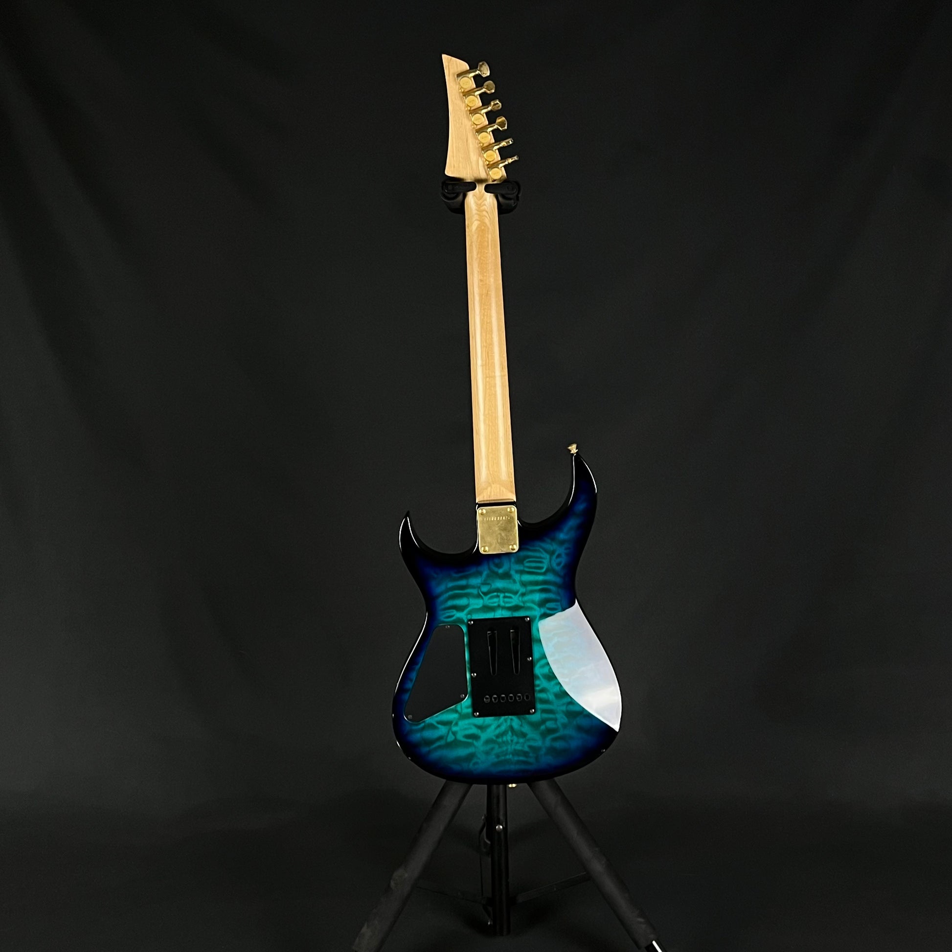 Fernandes FGZ-420
