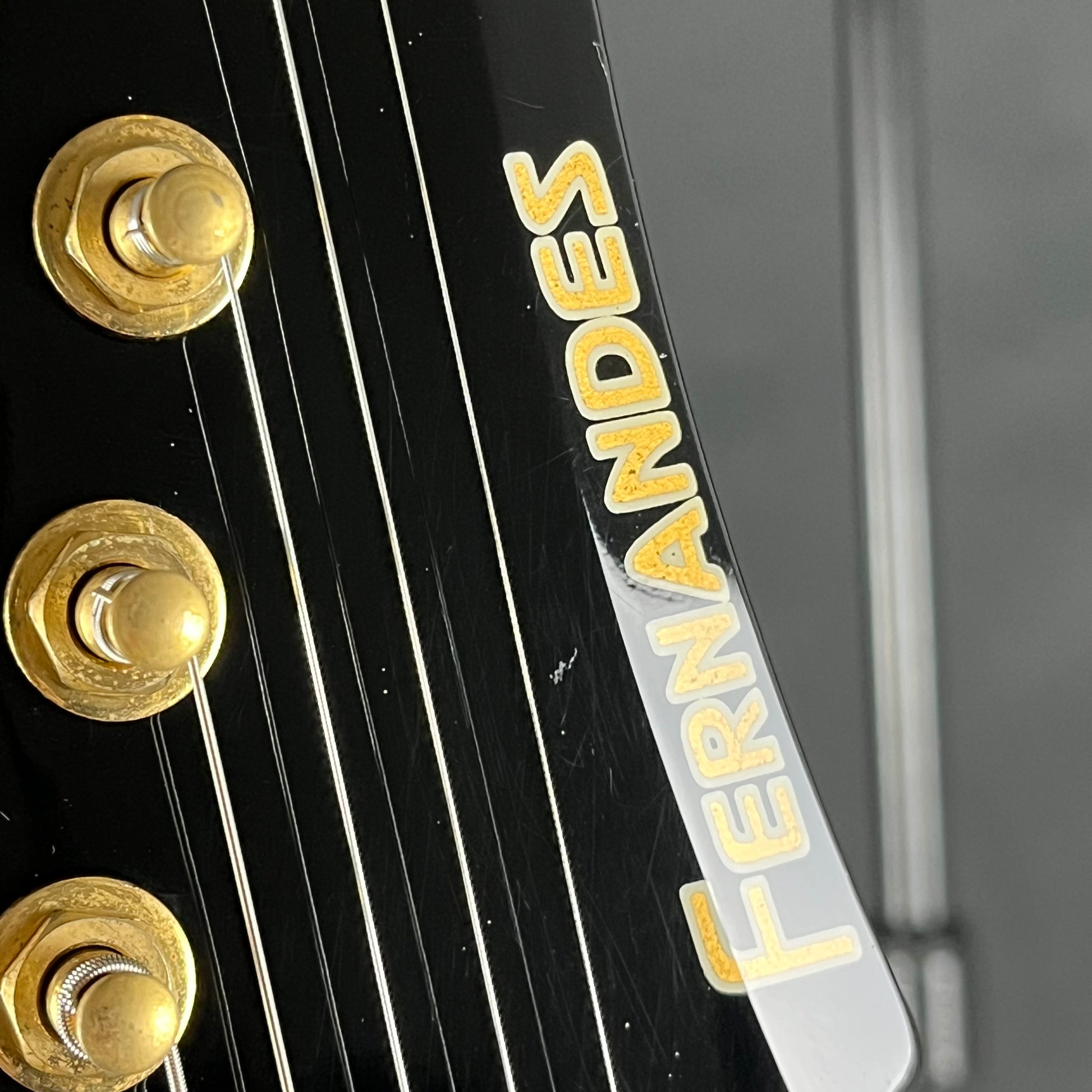 Fernandes FGZ-420