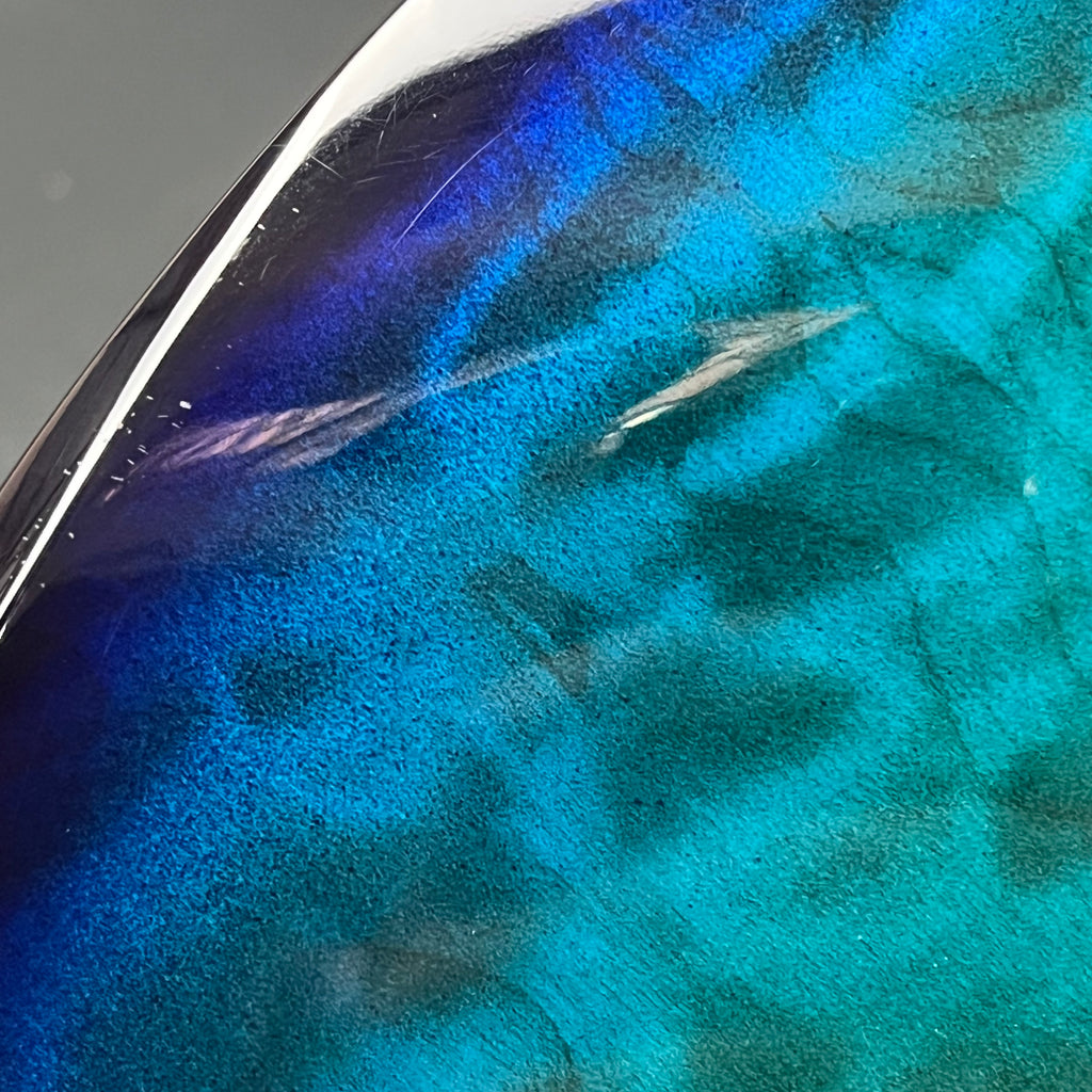 Fernandes FGZ-420