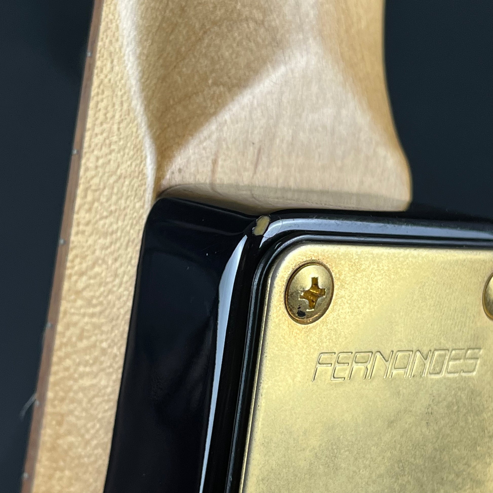 Fernandes FGZ-420