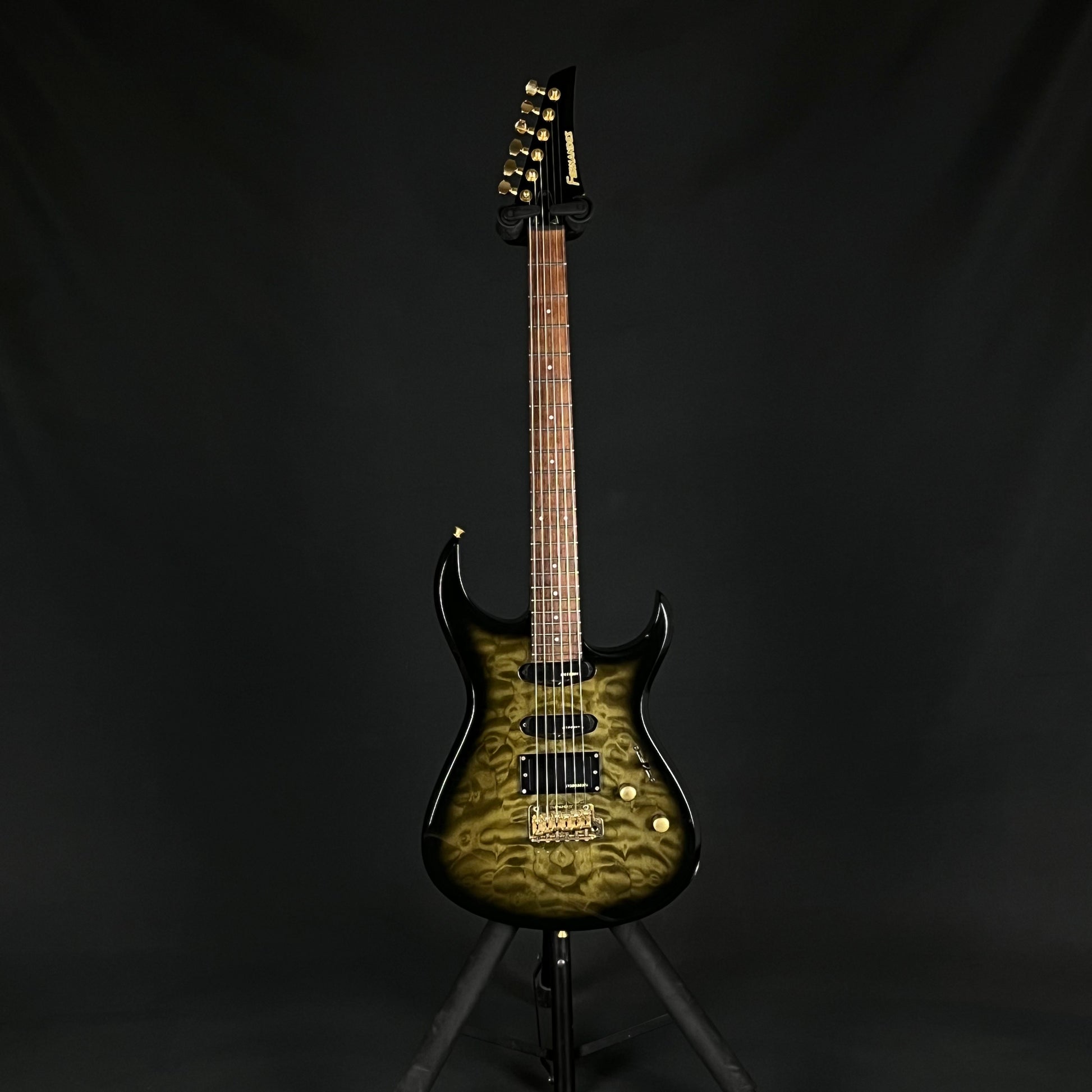 Fernandes FGZ-420