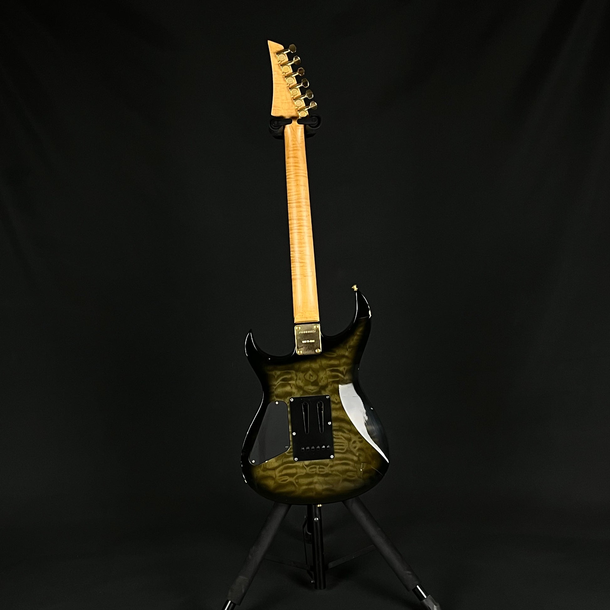 Fernandes FGZ-420