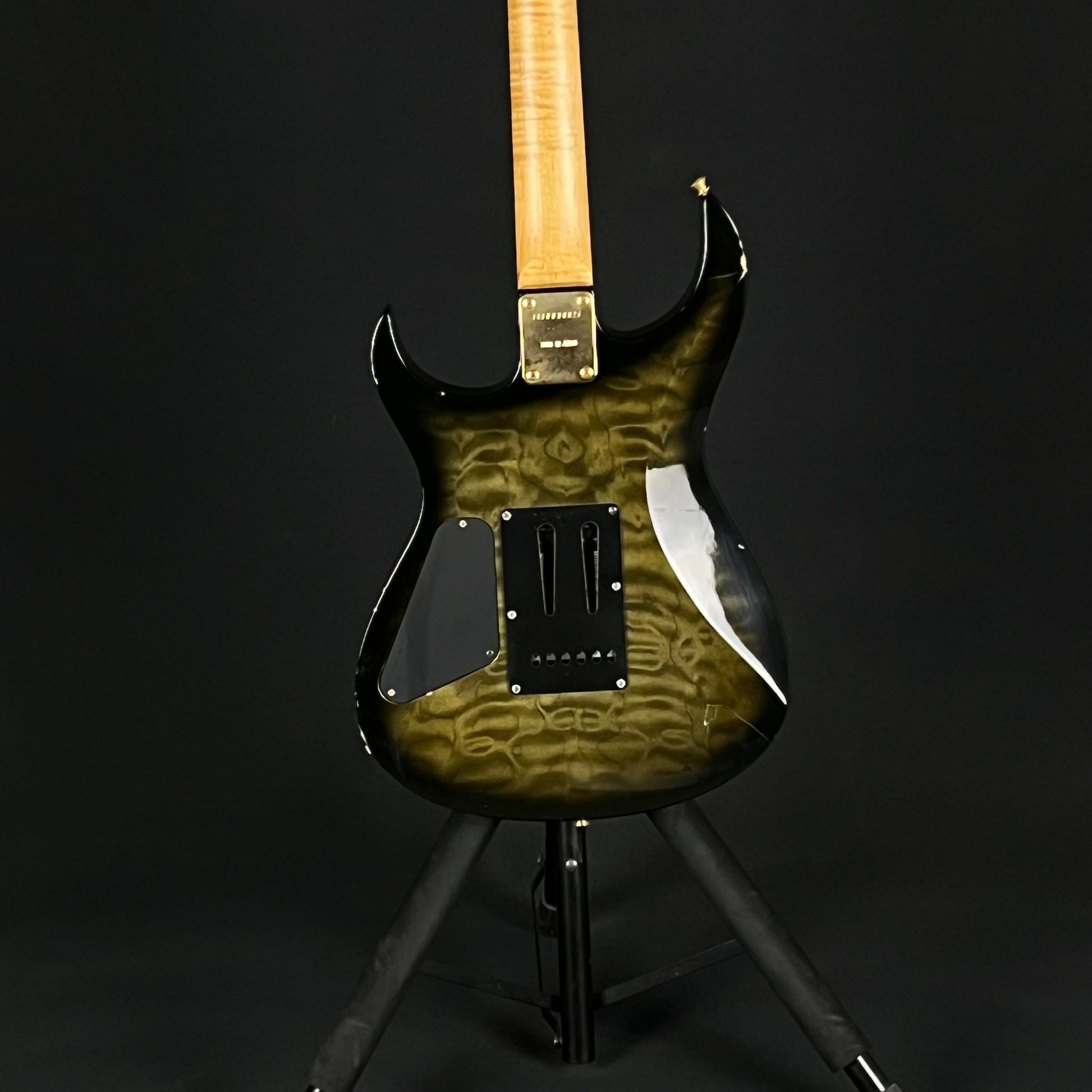 Fernandes FGZ-420