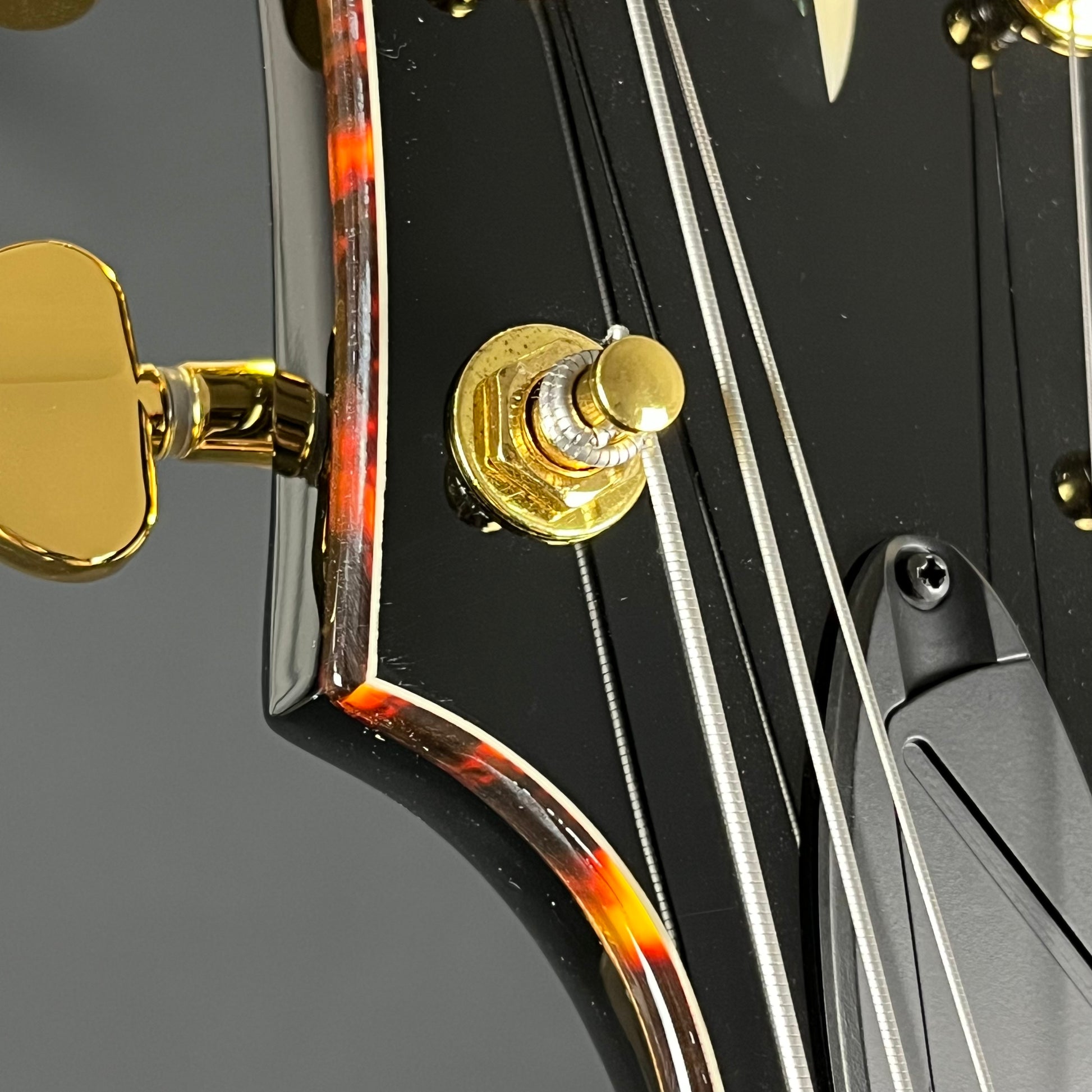 Ibanez AFC71-VLS 2025