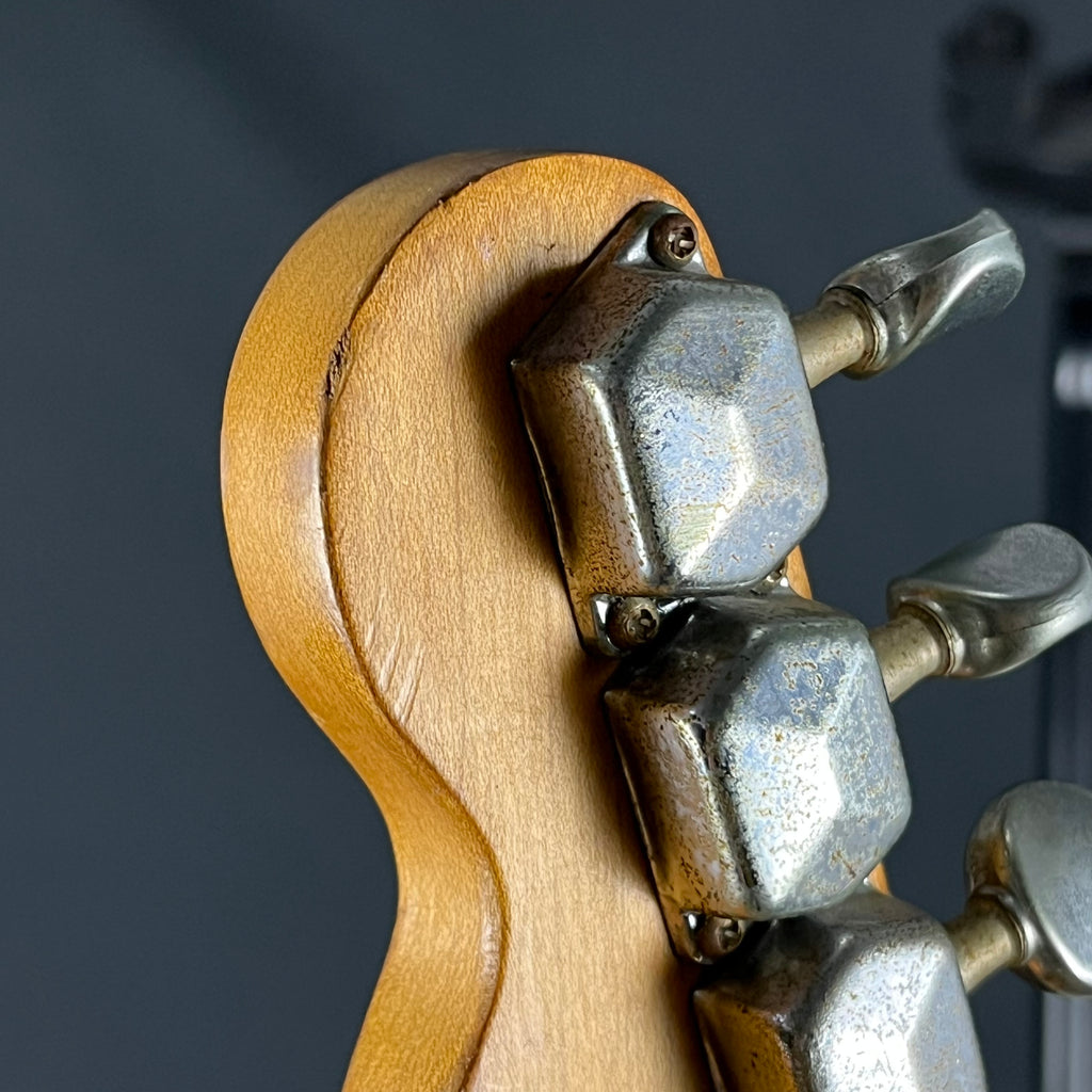 Fender Mexico Telecaster