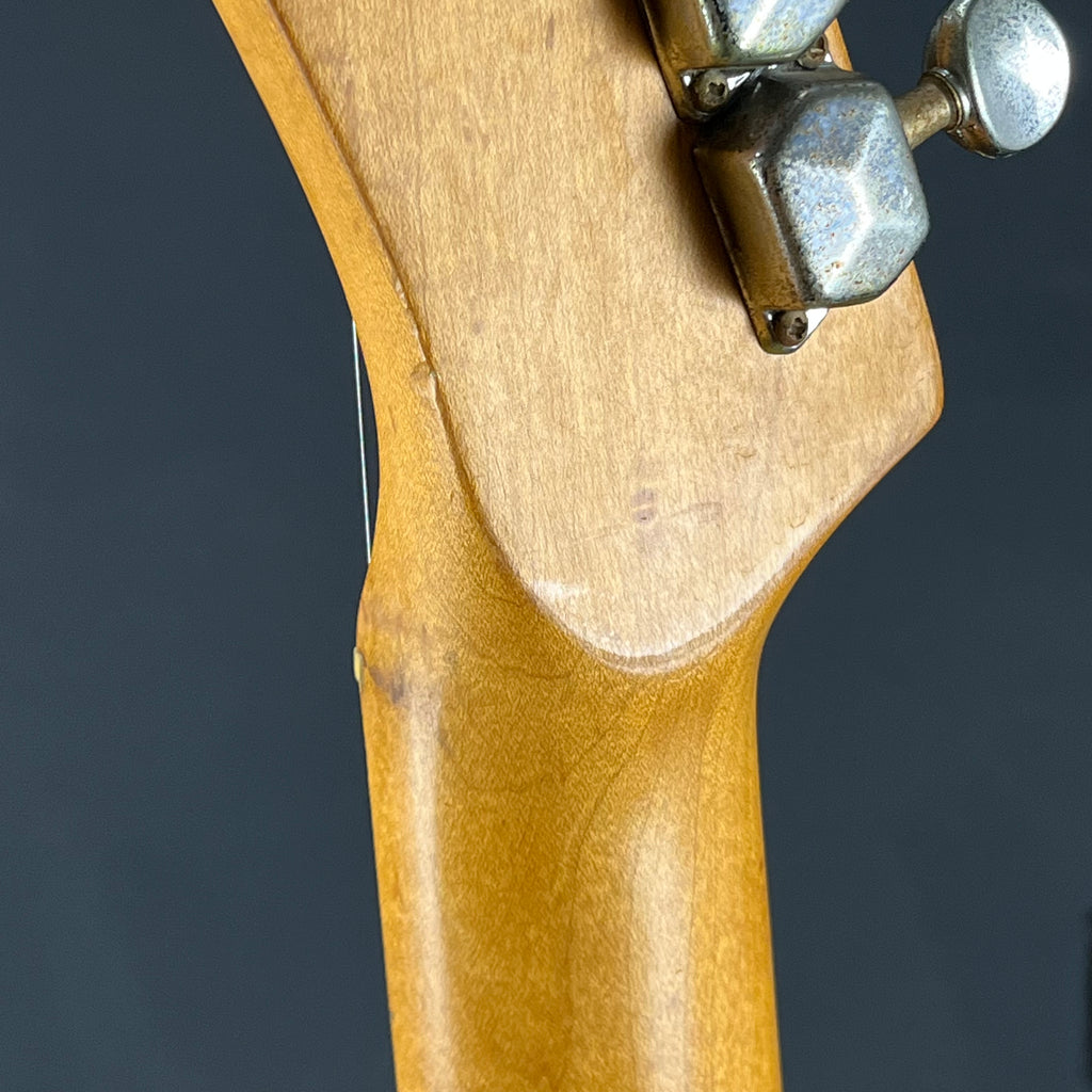 Fender Mexico Telecaster