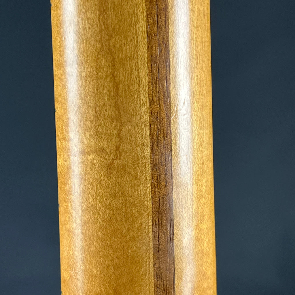 Fender Mexico Telecaster