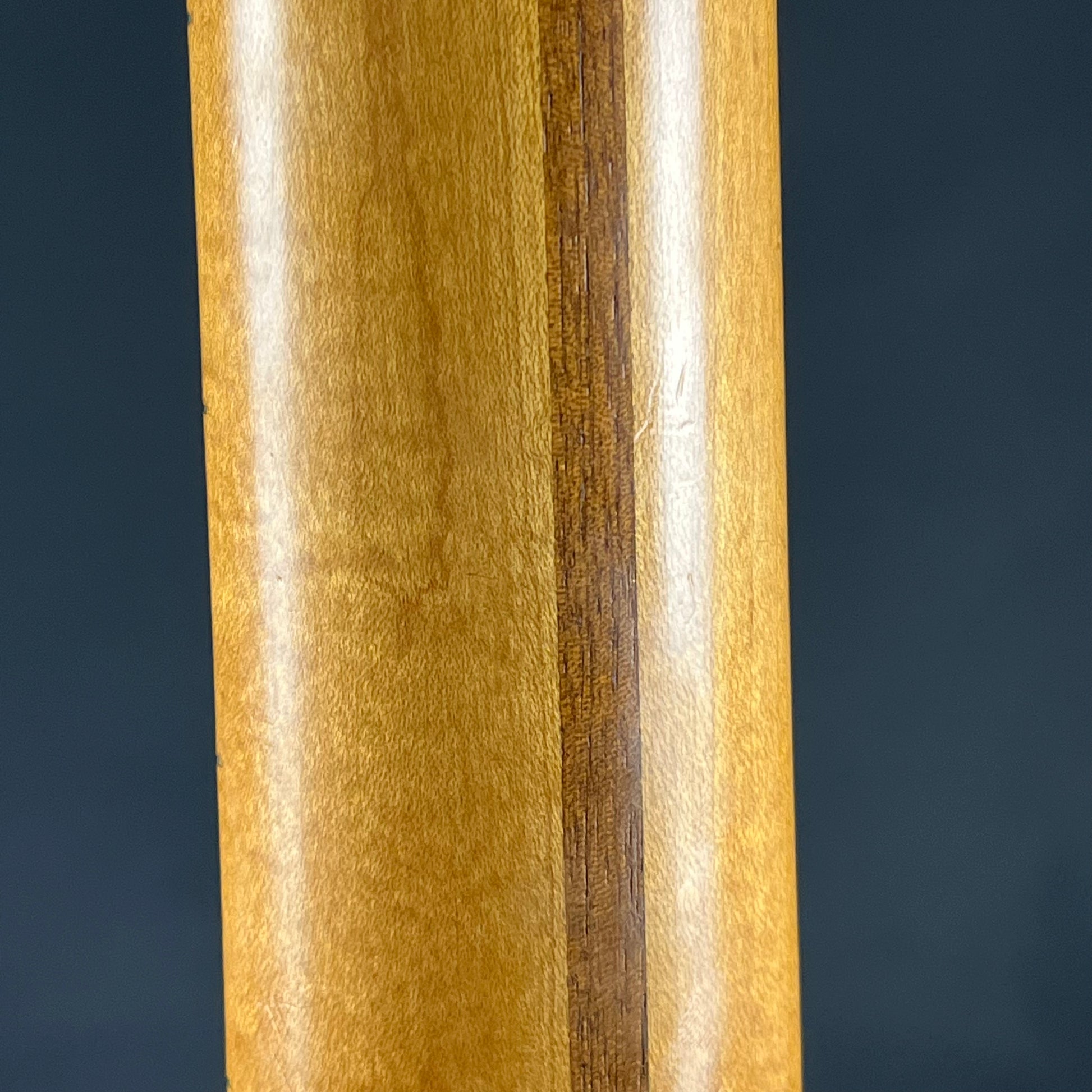 Fender Mexico Telecaster