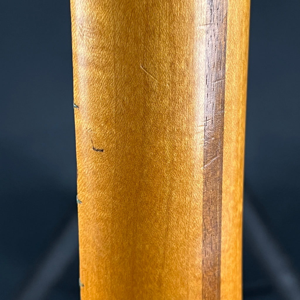 Fender Mexico Telecaster