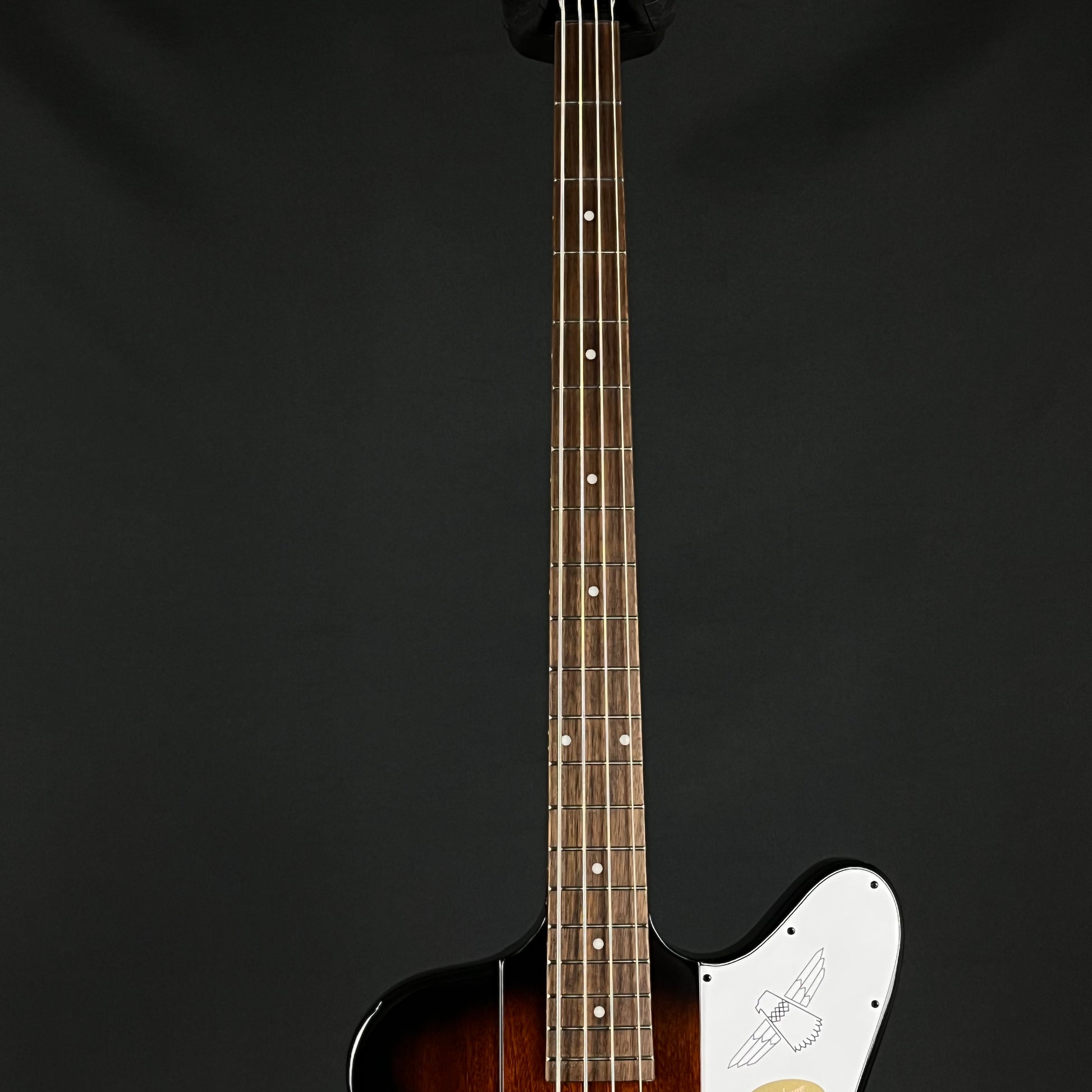 Epiphone Thunderbird E1 2024