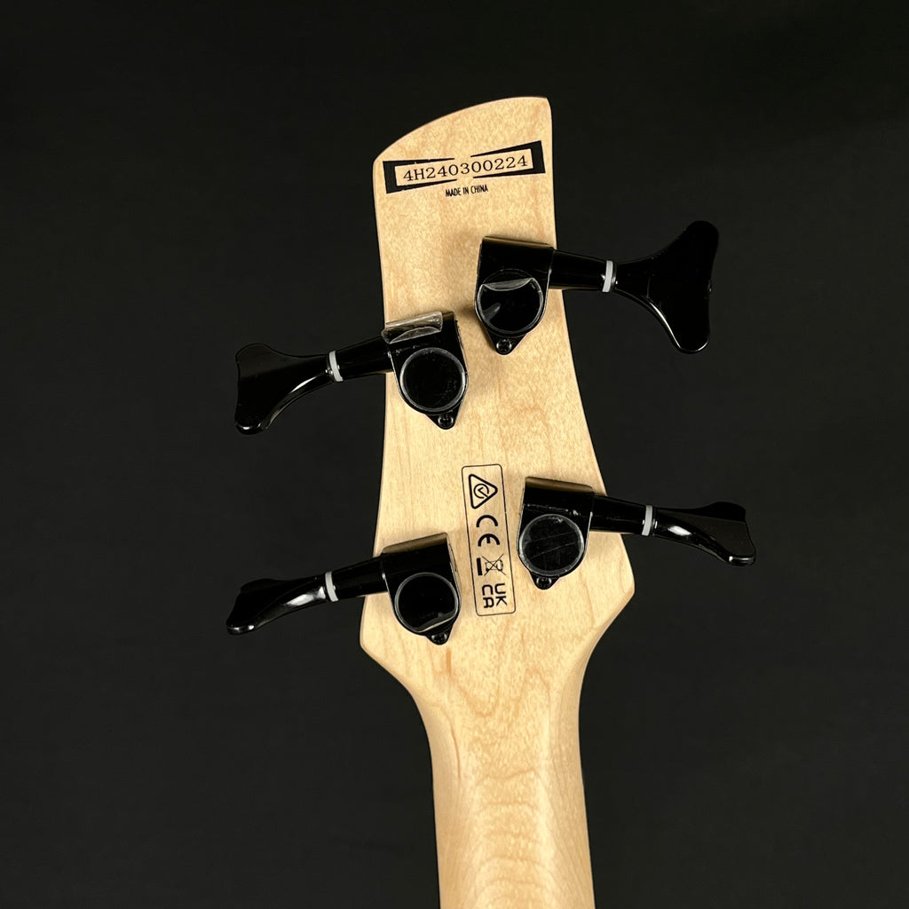 Ibanez GSR280QA Bass