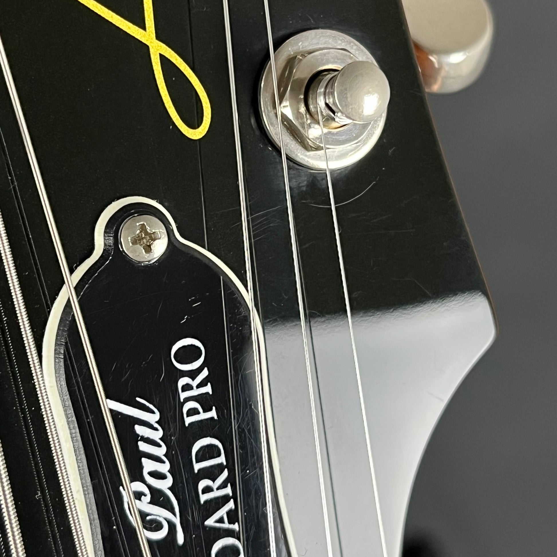 Epiphone Les Paul Standard Pro 2018