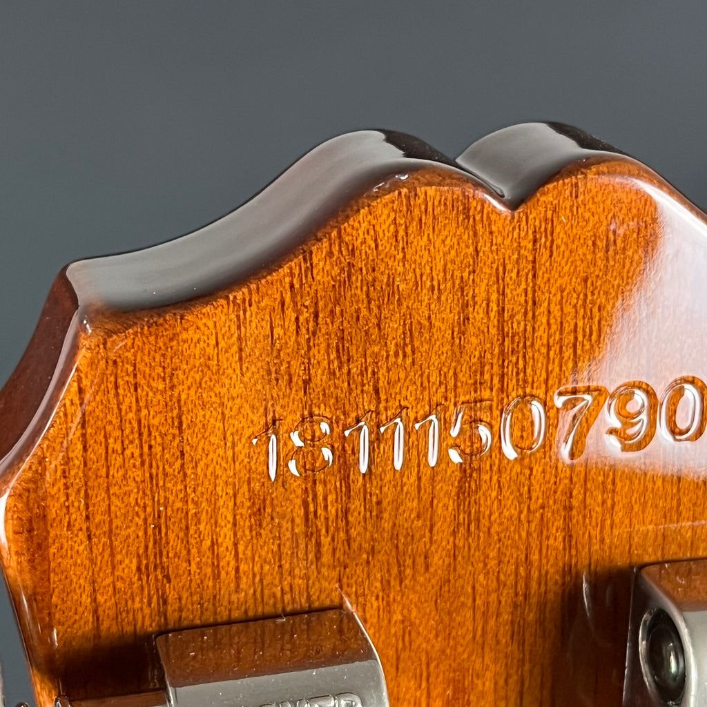 Epiphone Les Paul Standard Pro 2018