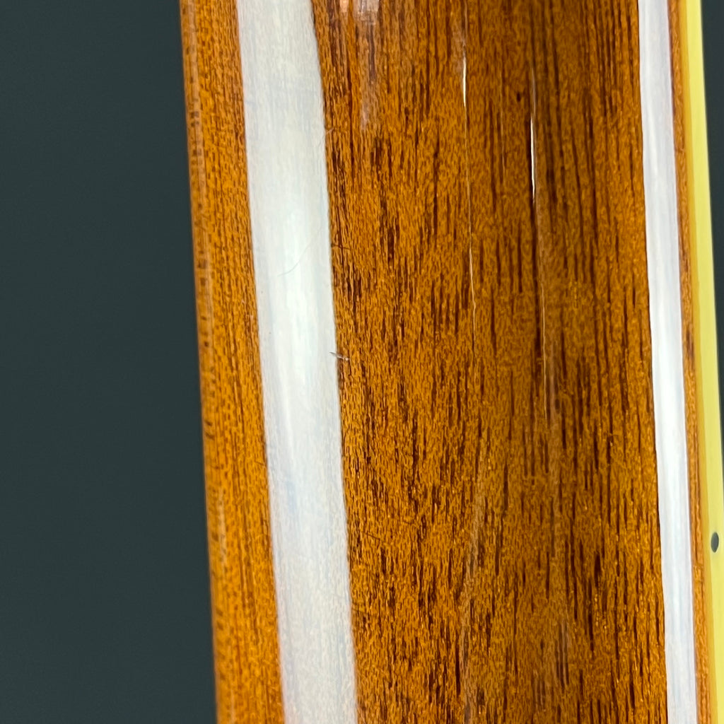 Epiphone Les Paul Standard Pro 2018