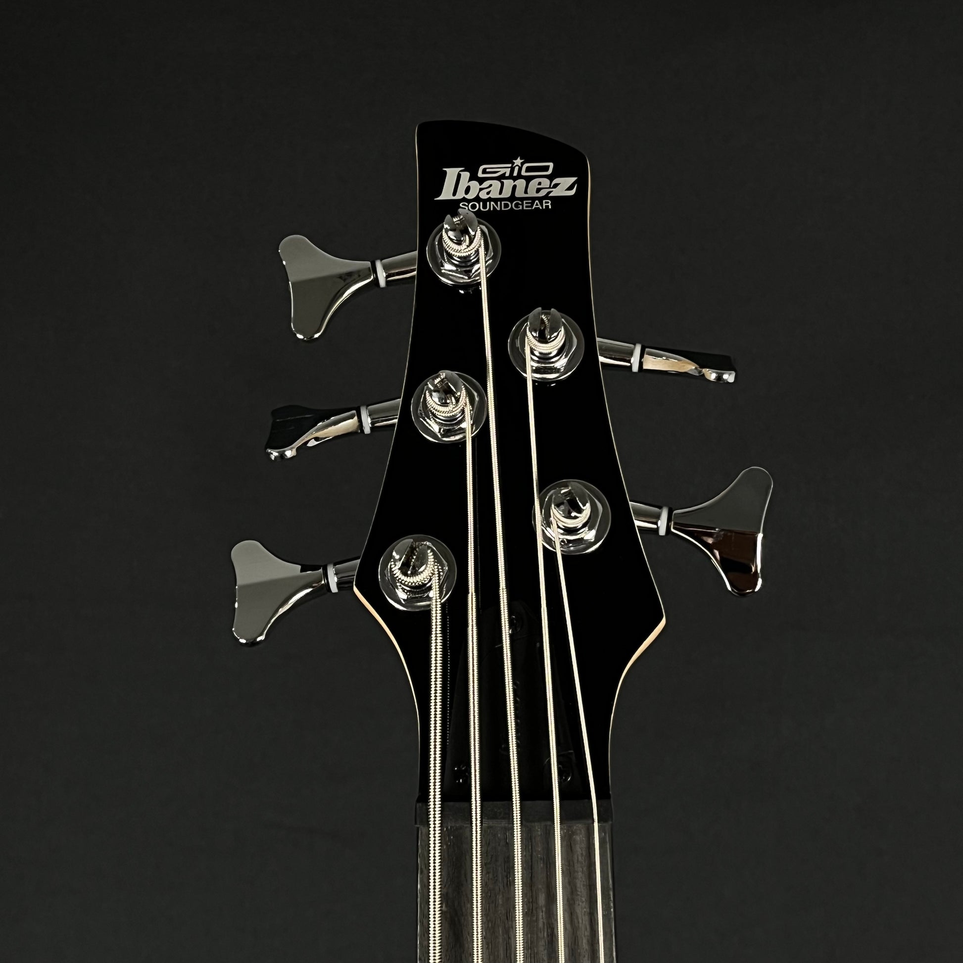 Ibanez GSR205 Bass