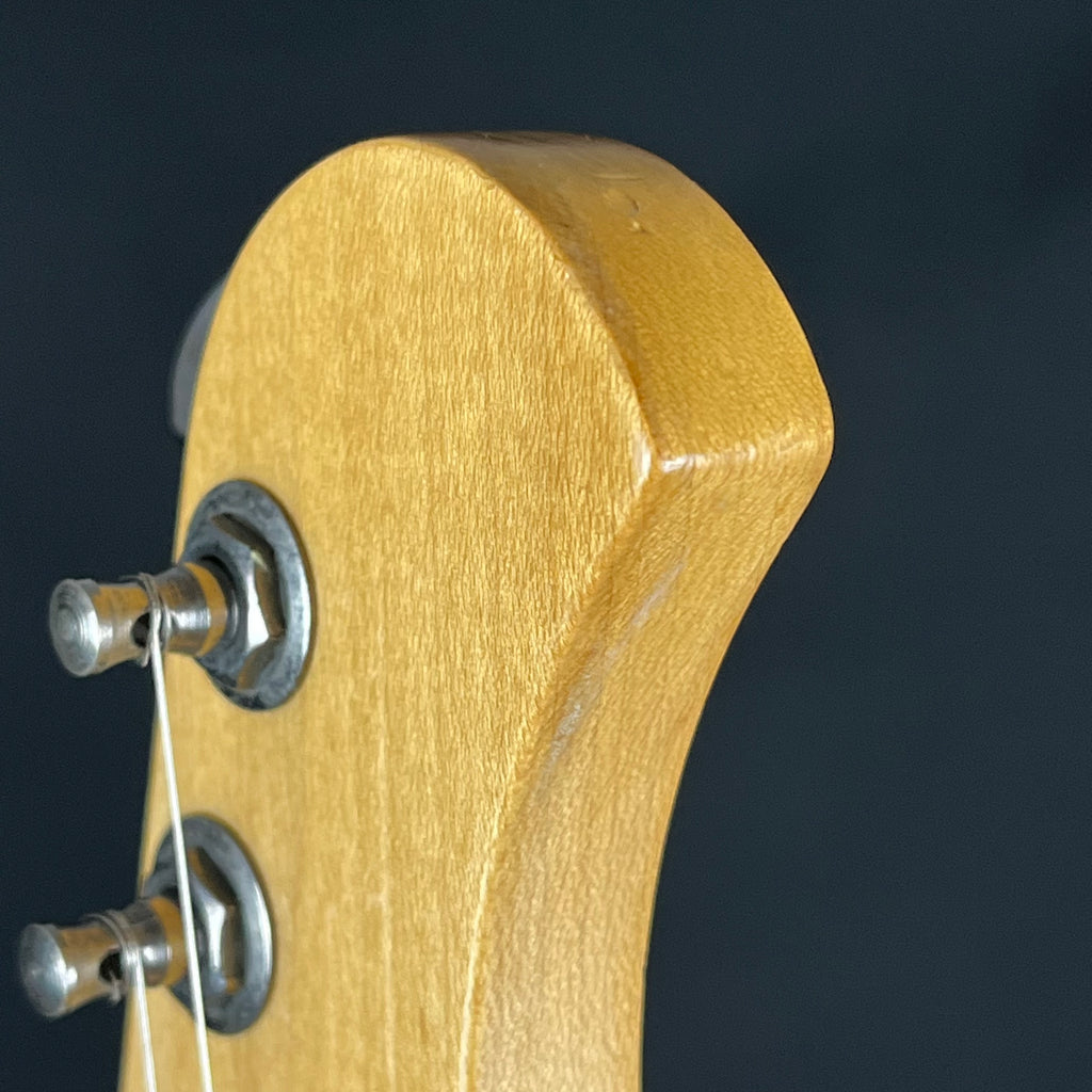 Bacchus Universe Series Stratocaster