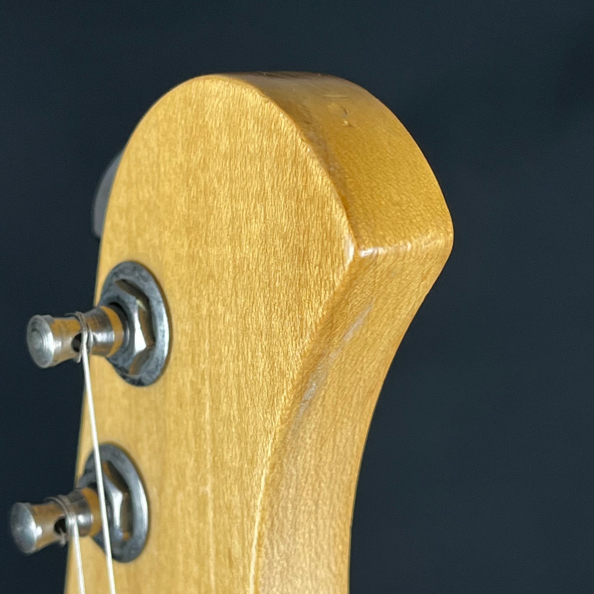 Bacchus Universe Series Stratocaster